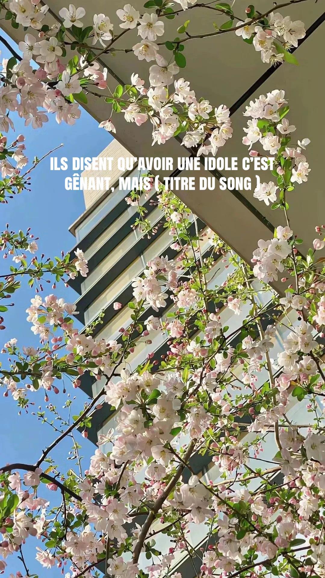 @mini polak