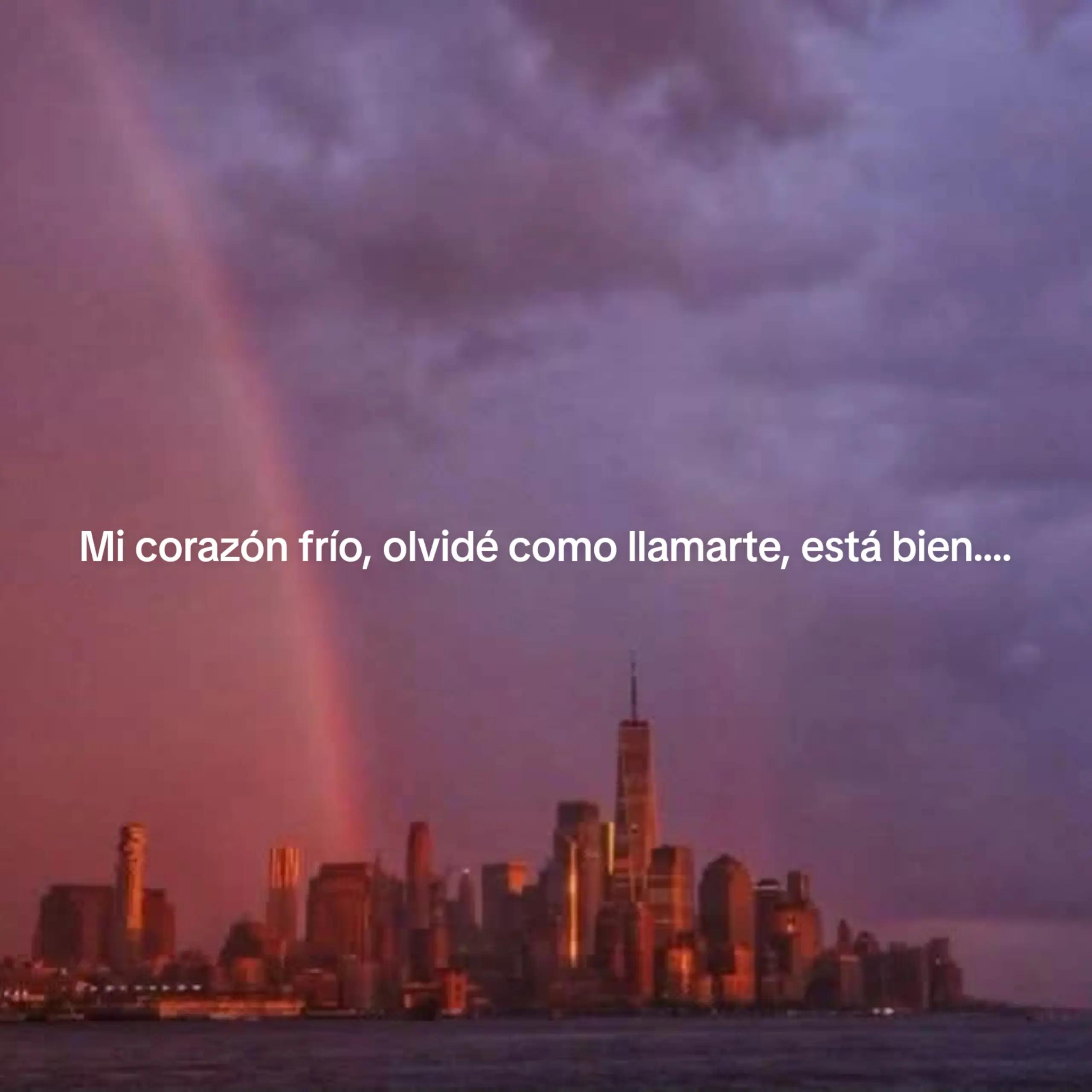 @◦●Proyecto Army●◦
