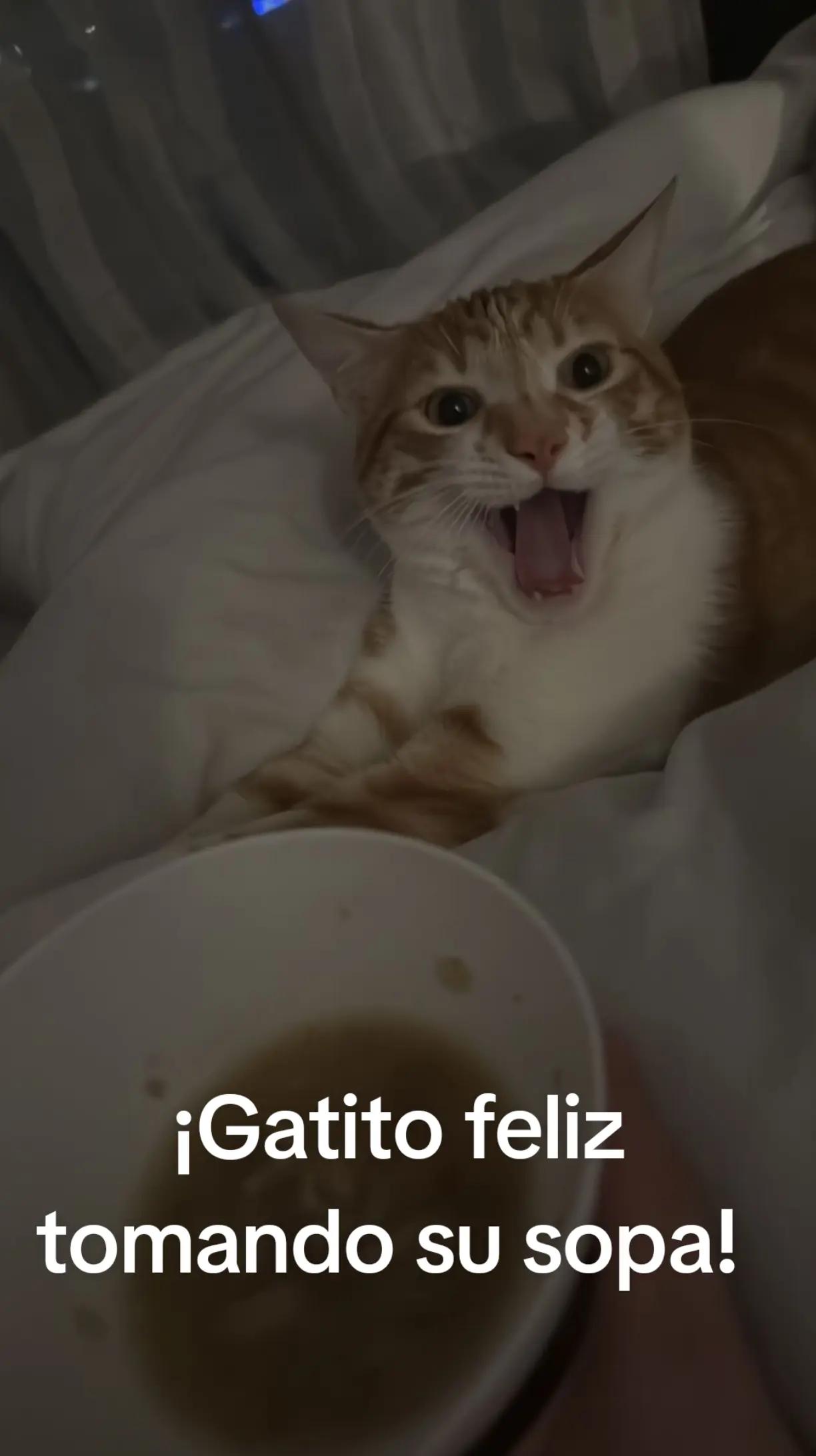 @patriciareyes2741