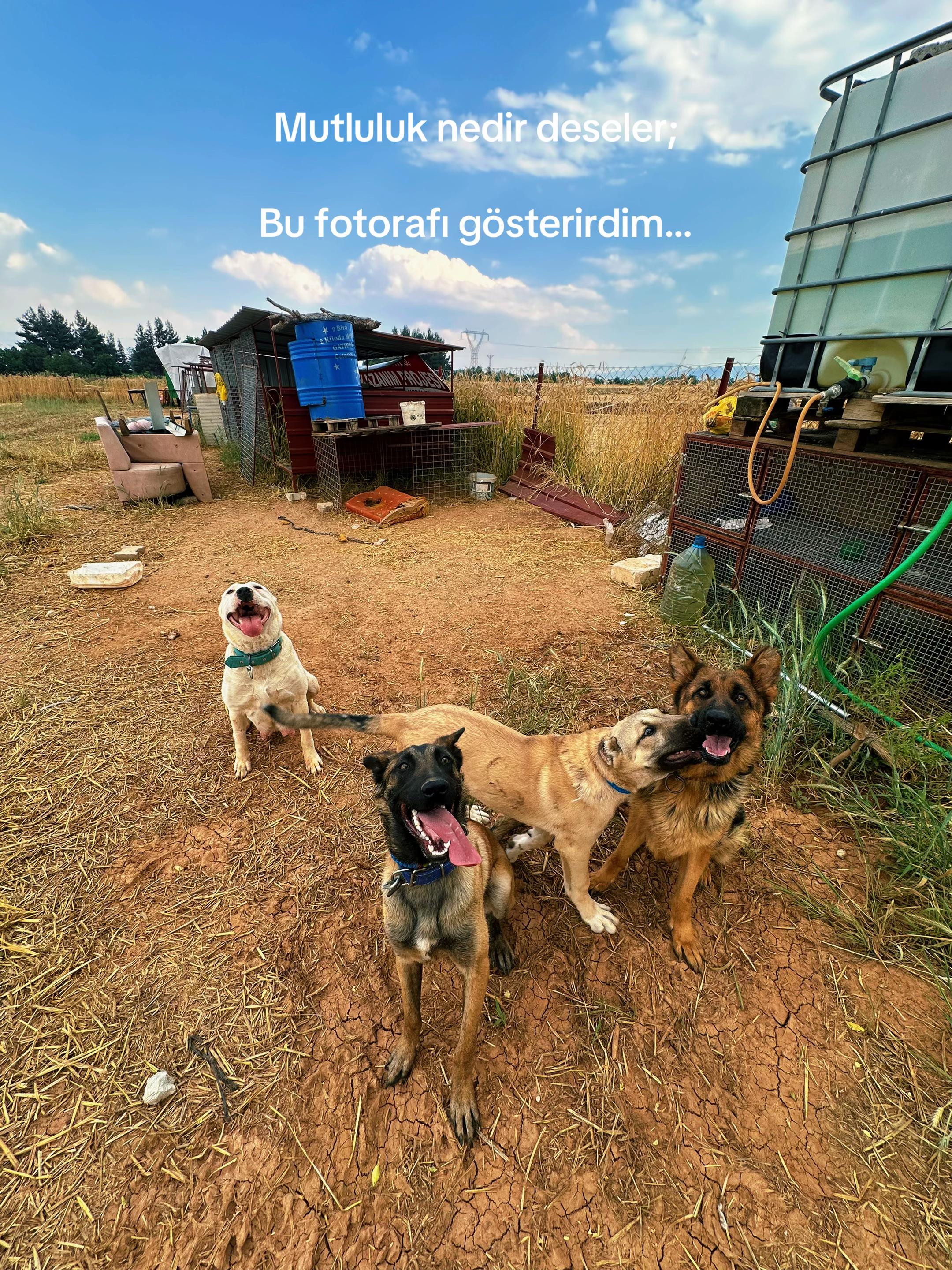 @Çetin BATUR