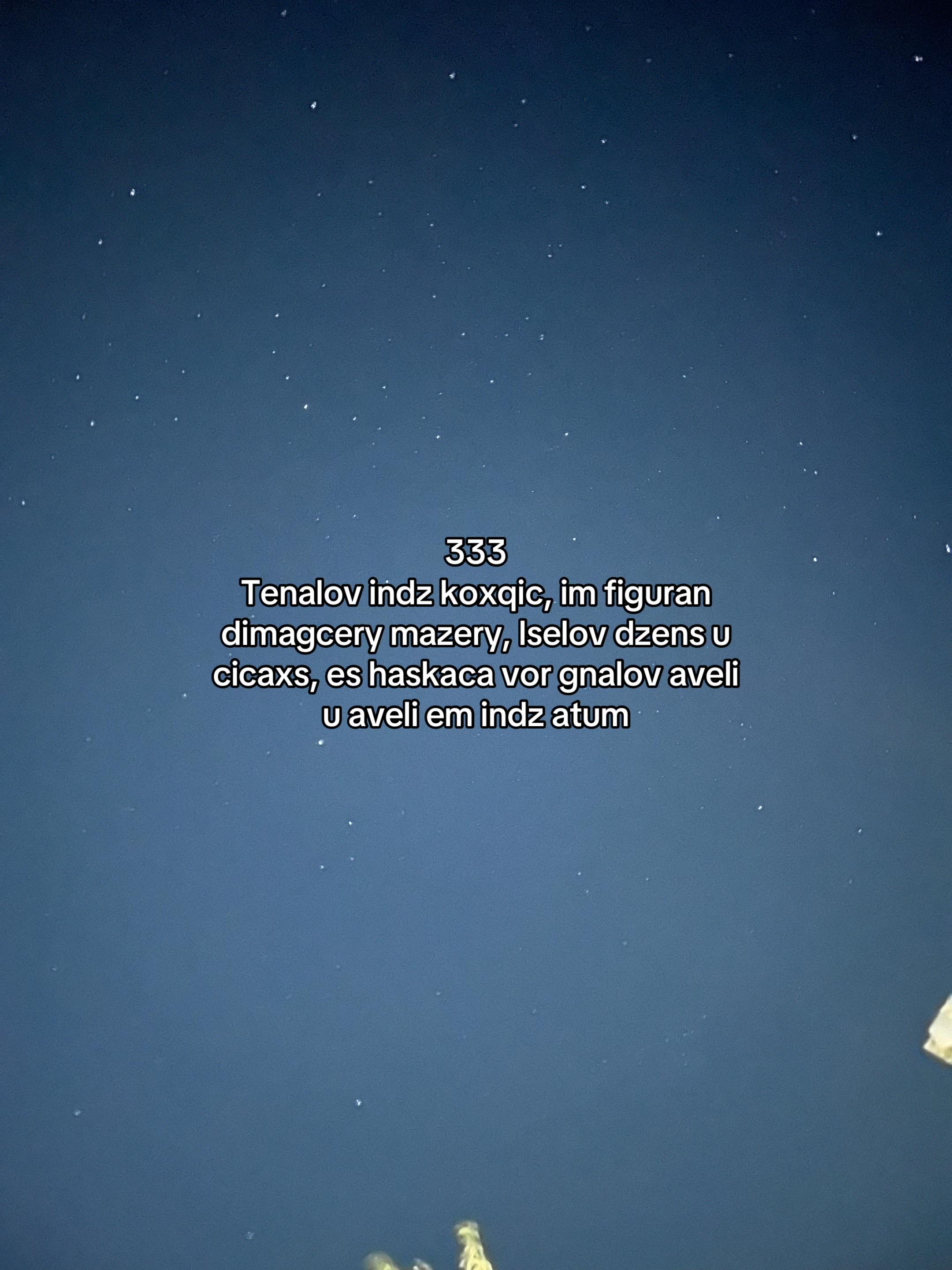 @333