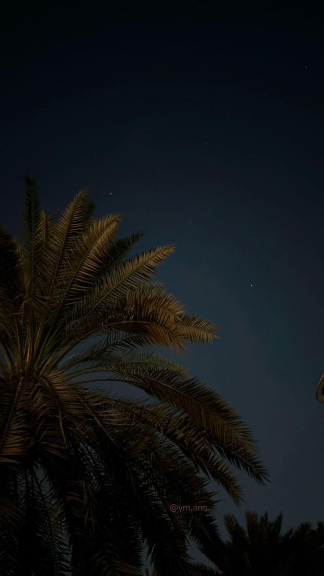 @𝑌𝑙𝑖𝑎𝑛𝑎