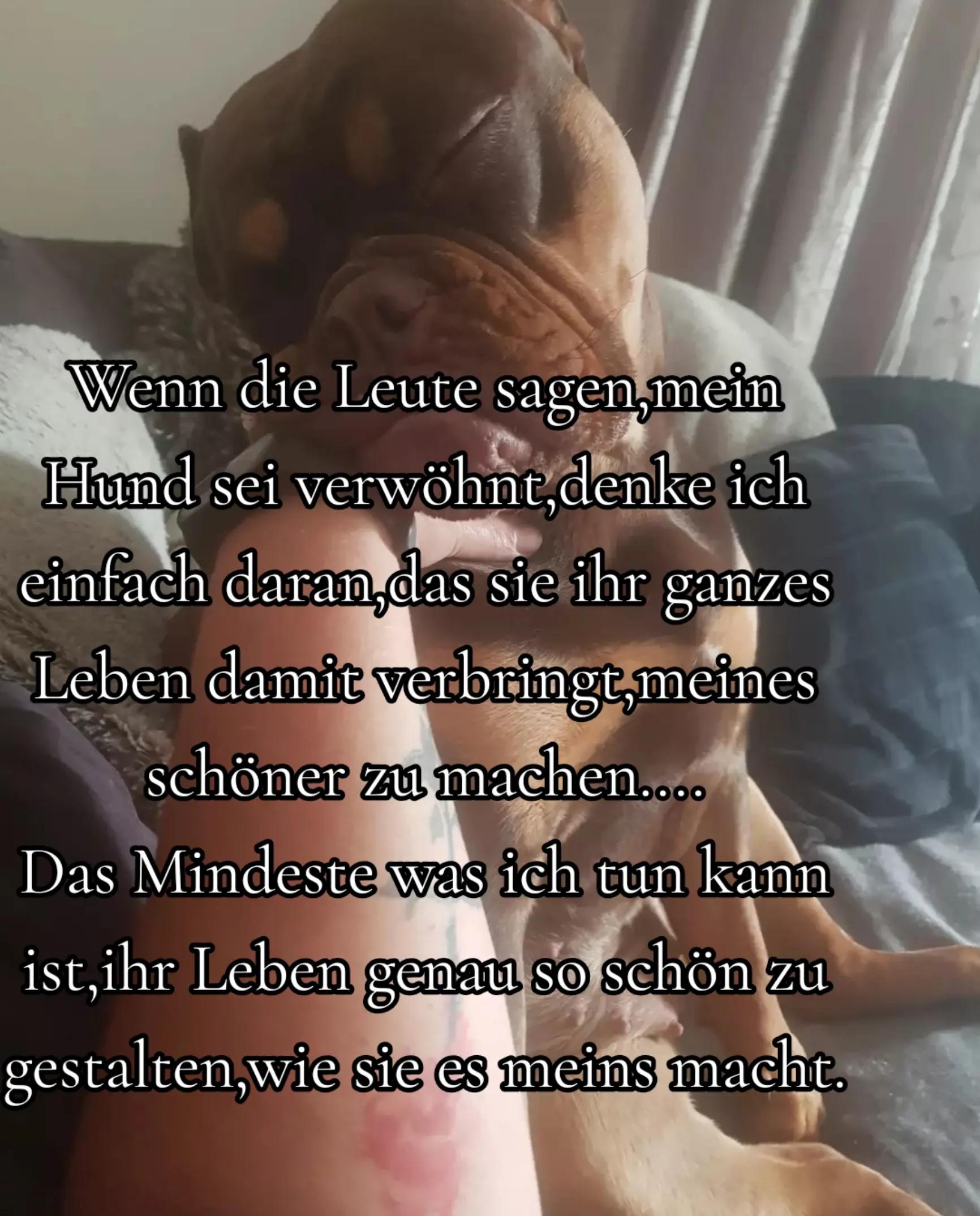 @ᗴᗰᗰƳ & 丅ᗴɊᑌᎥᒪᗩ         ᗯᗝᖇᒪᗪ
