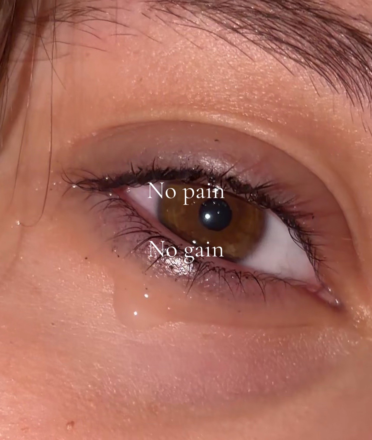 @𝓛𝓮𝓪𝓱 (𝓟𝓸𝓶𝓷𝓲♡)