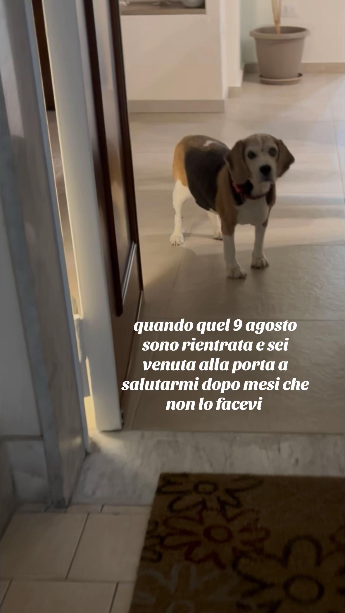 @Mara Stabile