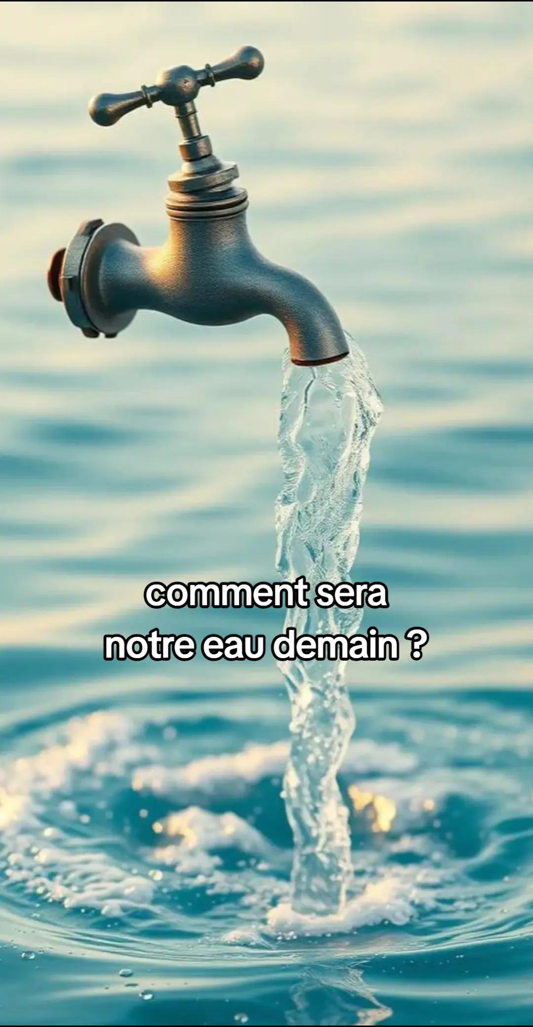 @Christine Vignaud Sangerma