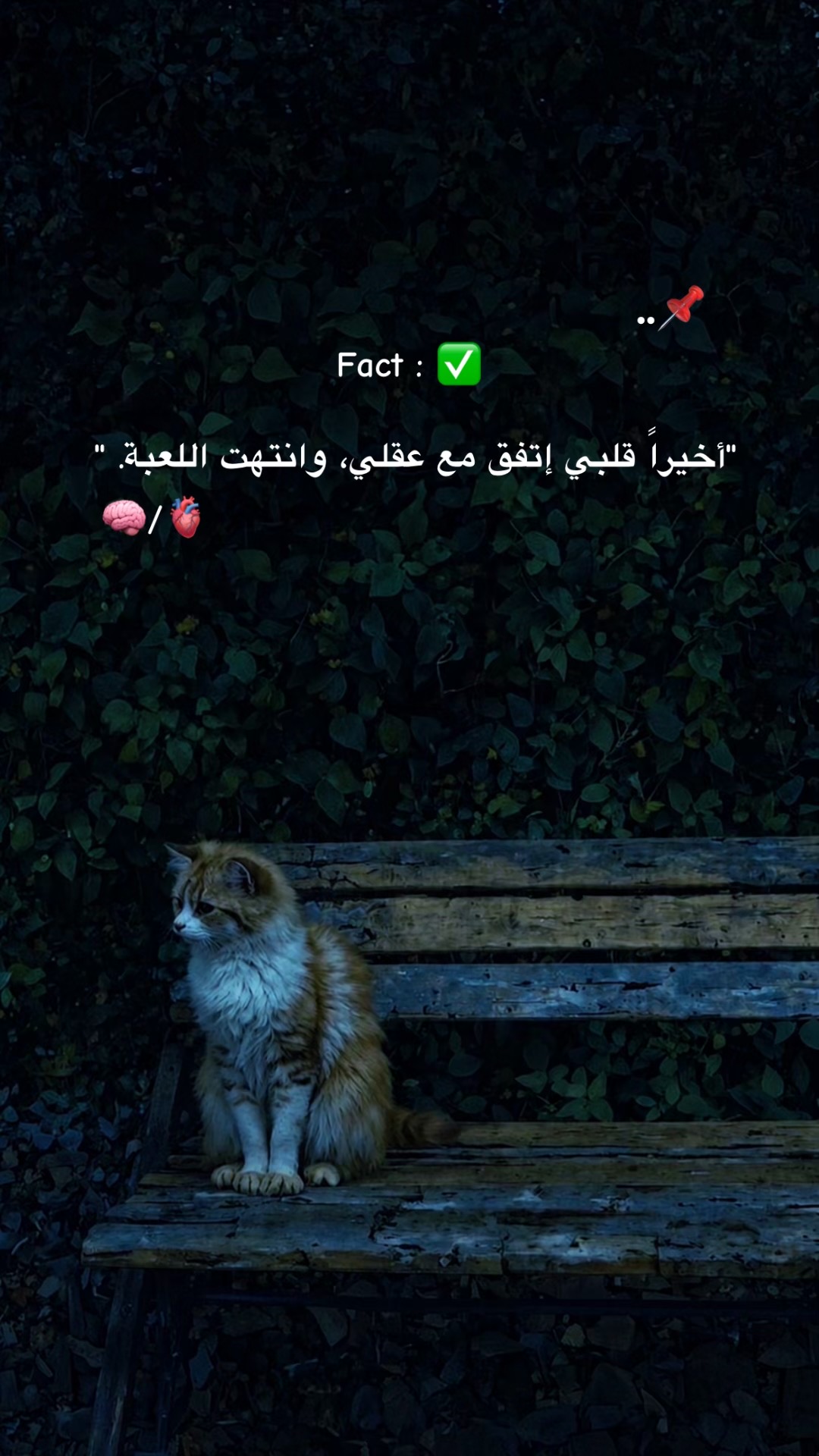 @𝙛𝙧𝙞𝙙𝙪𝙤𝙢  🥀❤️&zwj;🩹