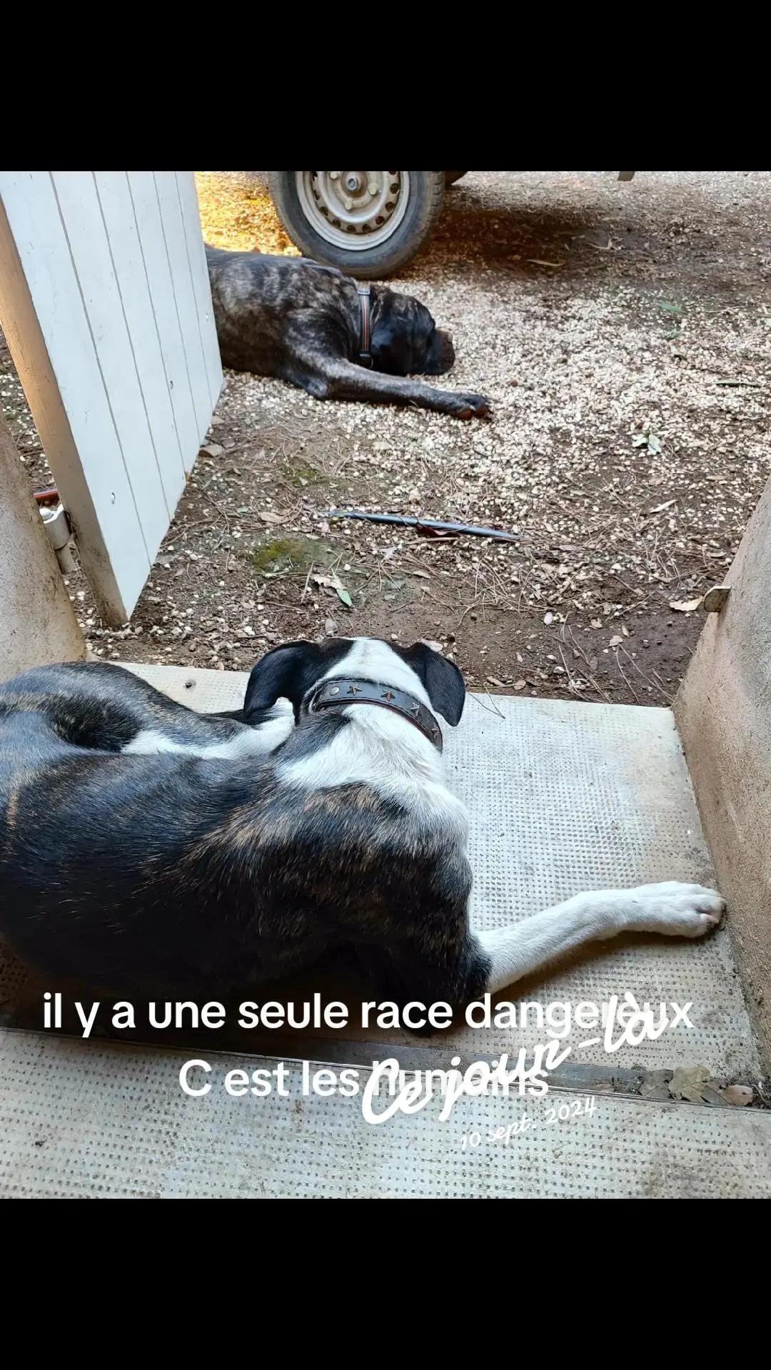 @Antoine frau
