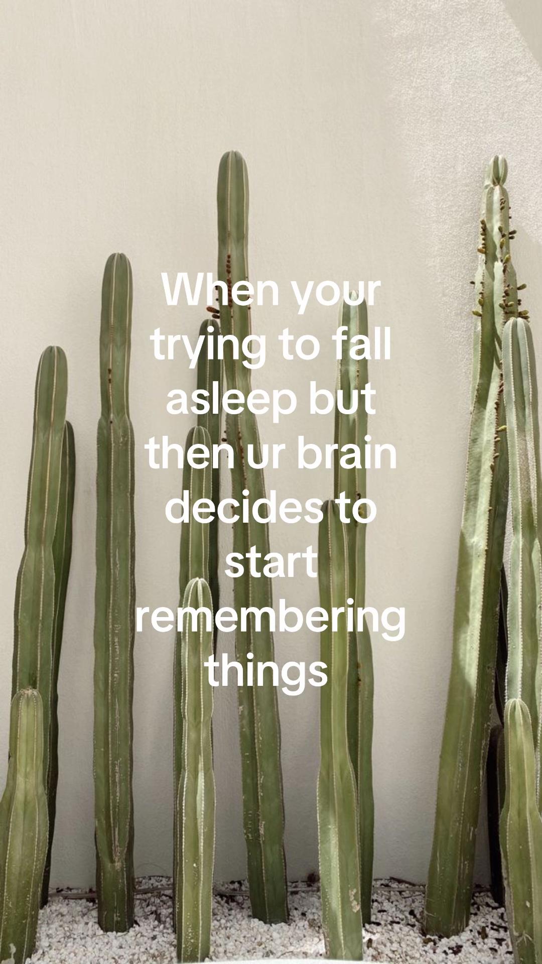 @๐๐ค