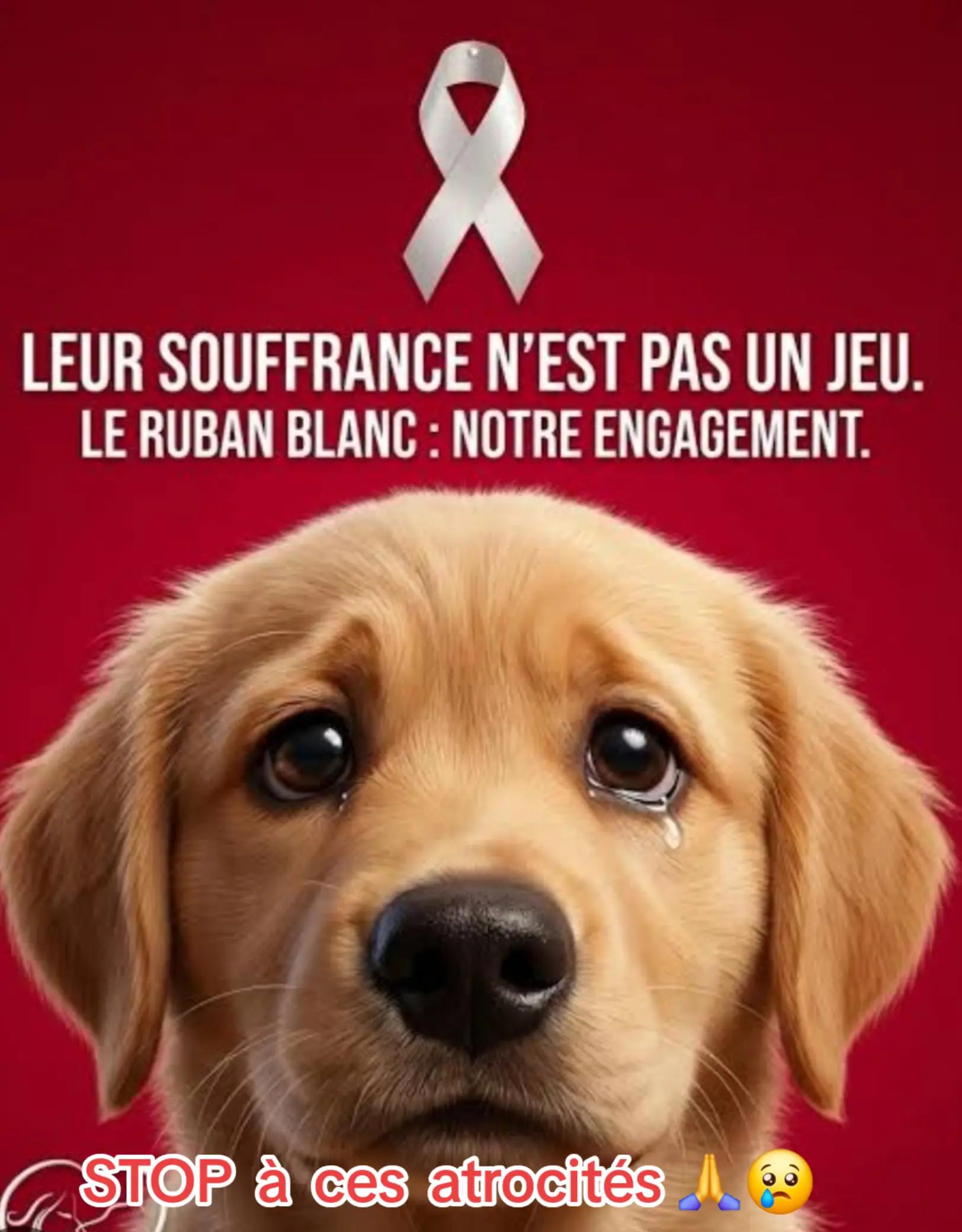 @🌹Douce&passionnée 🌹