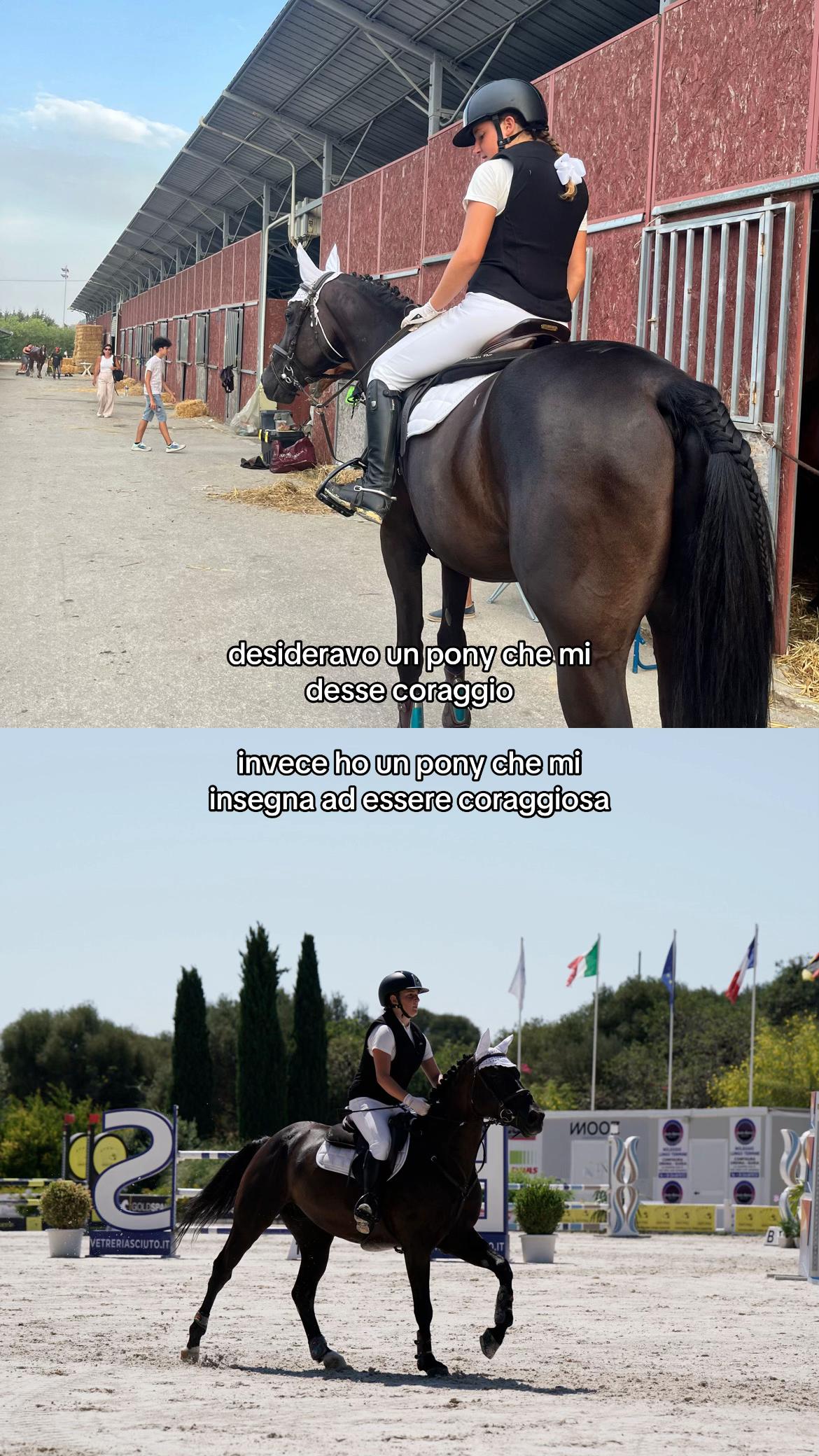 @isa_pullo🩶🐴