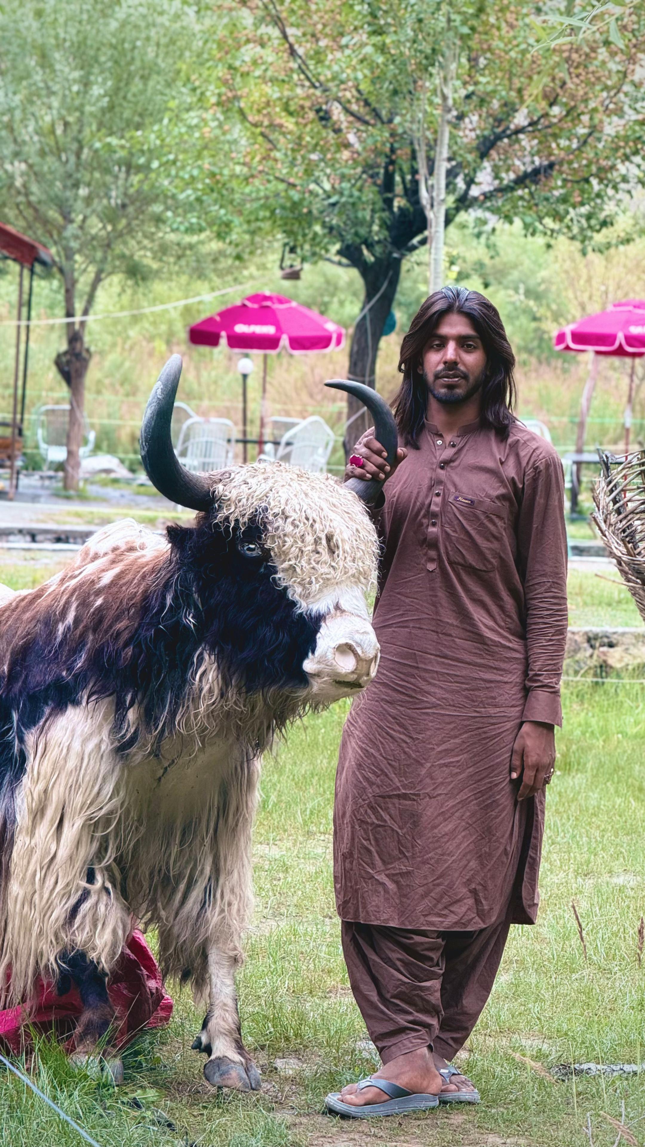 @ساحل جگنو