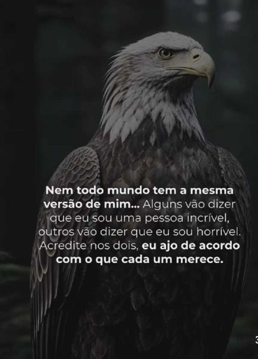 @Laurinha 👑