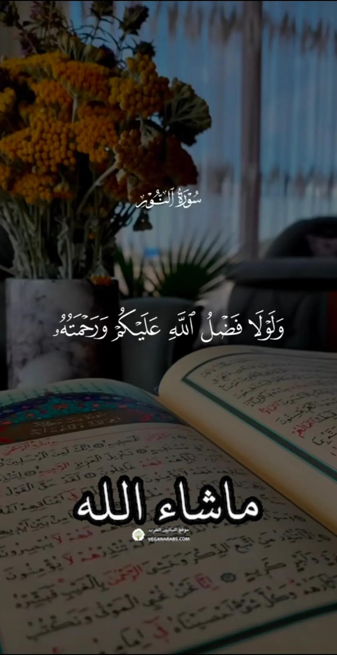 @Subhanallah_786