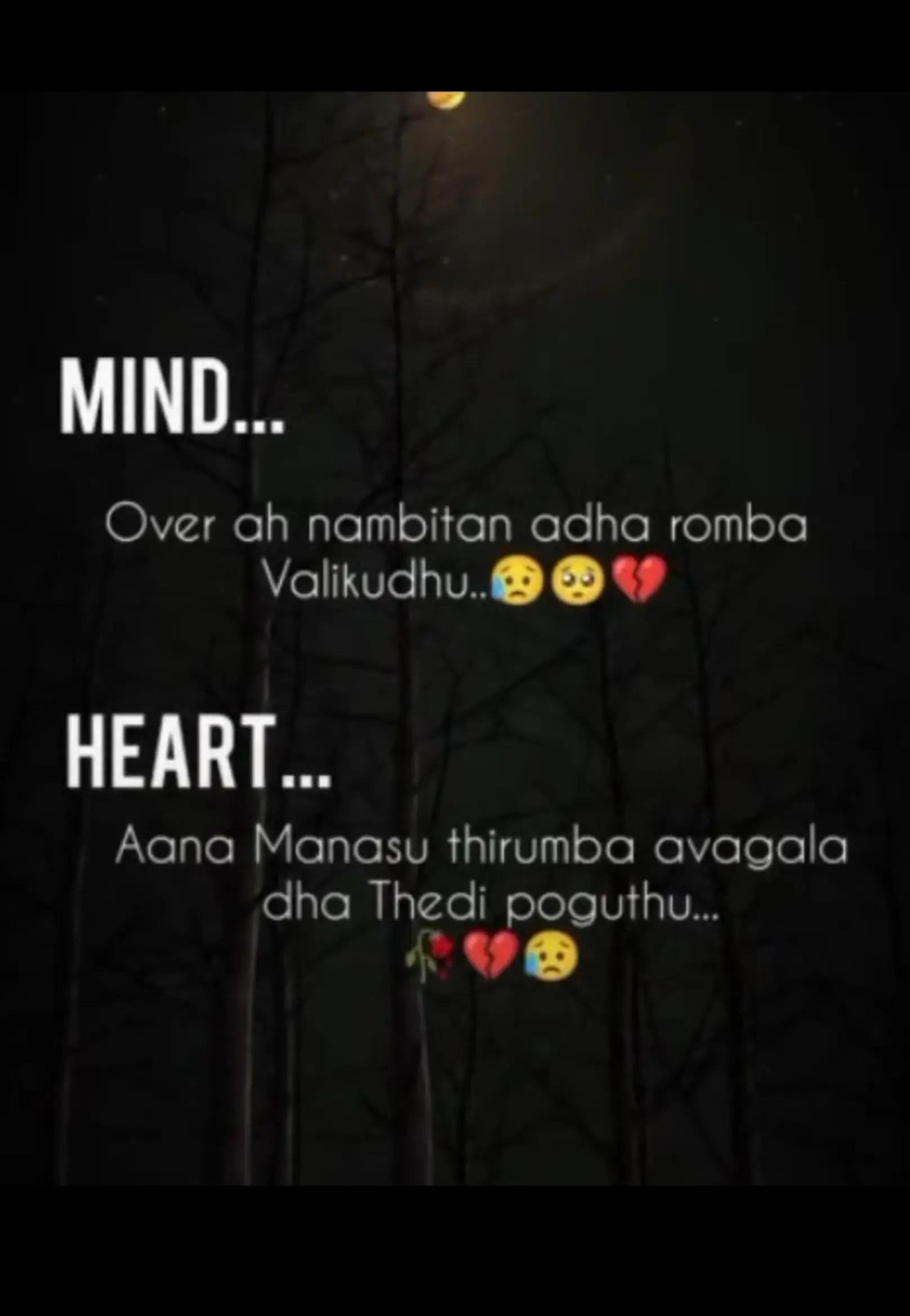 @๐คsaras๐ค