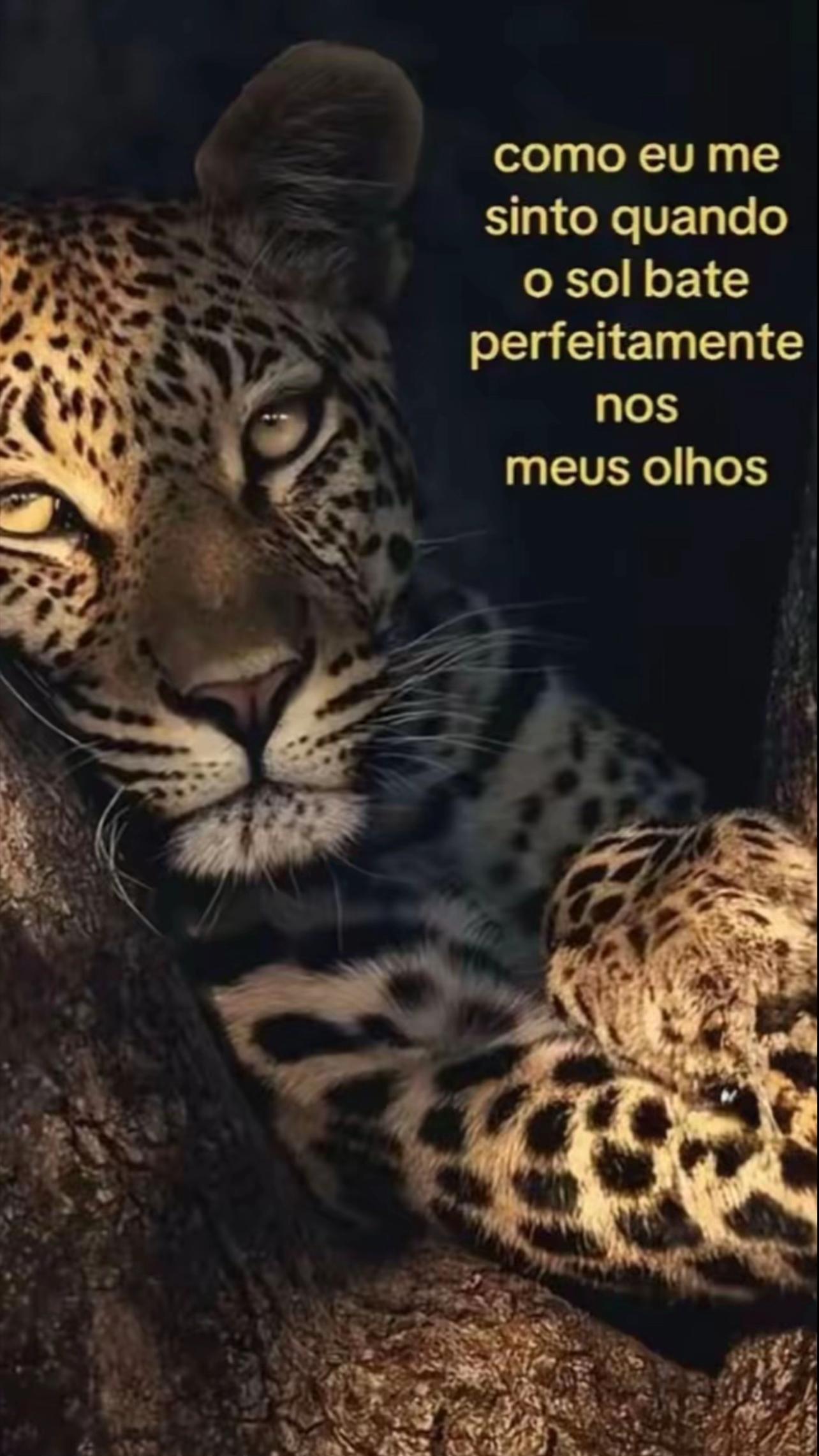 @Thaina Sampaio