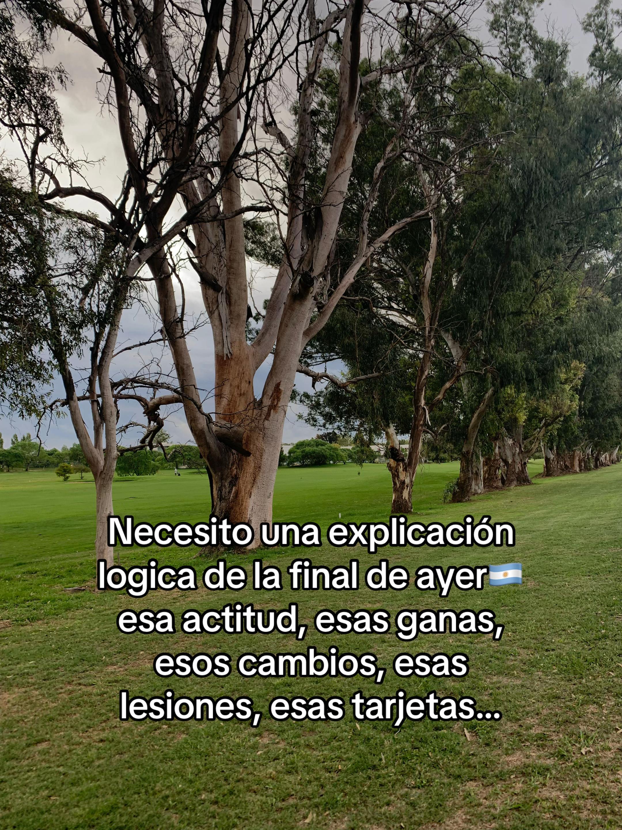 @Belu Santiago