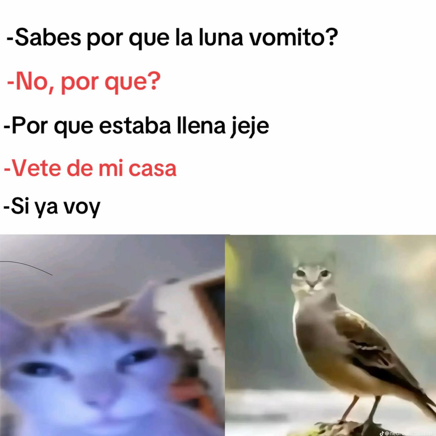 @momazosnegromarronjeje