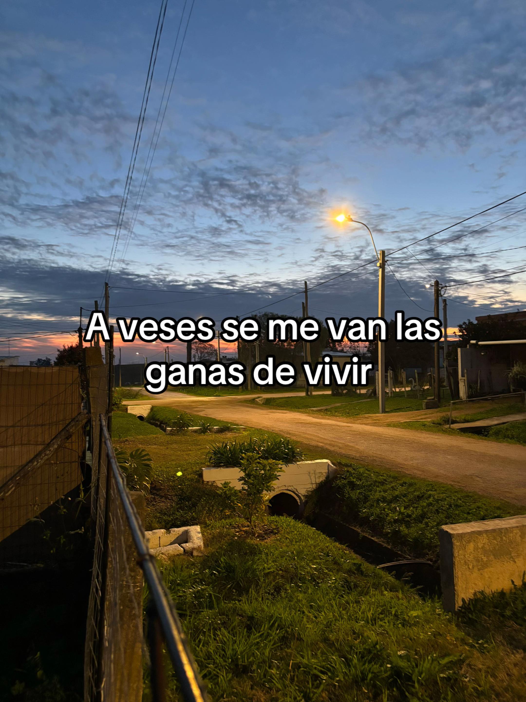 @Luna Gonzalez