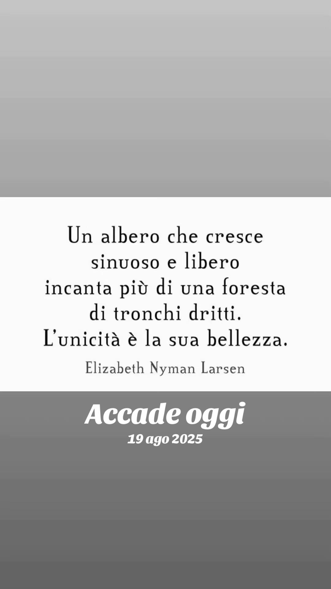 @Alessandra Grande