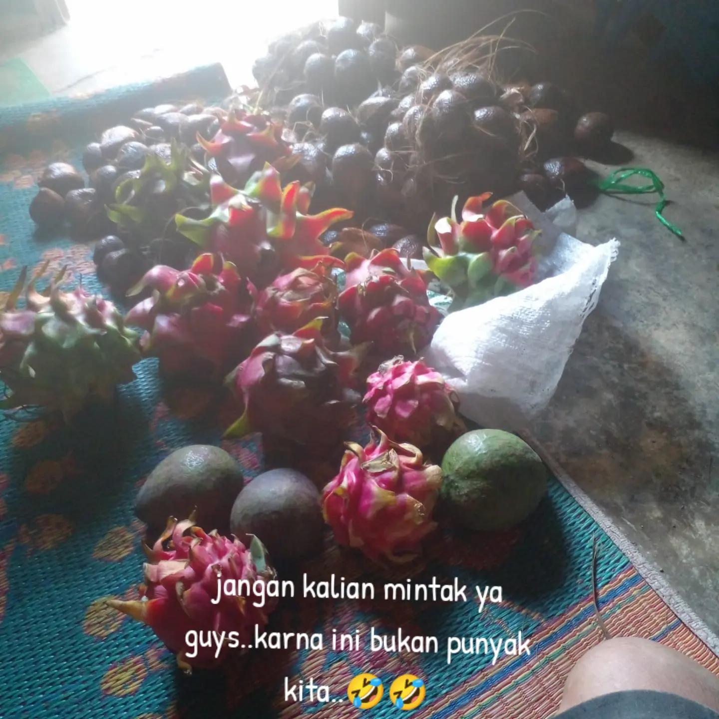 @tigan tengah