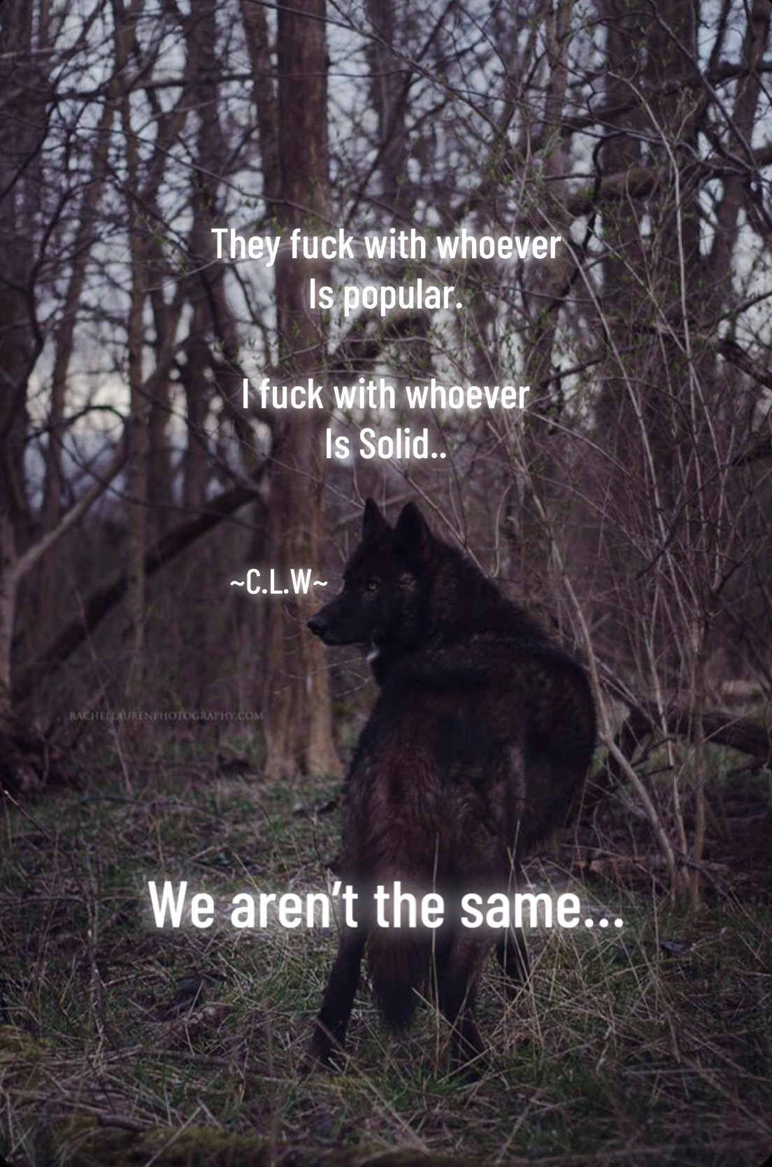 @🪬Conscious_LoneWolf🐺