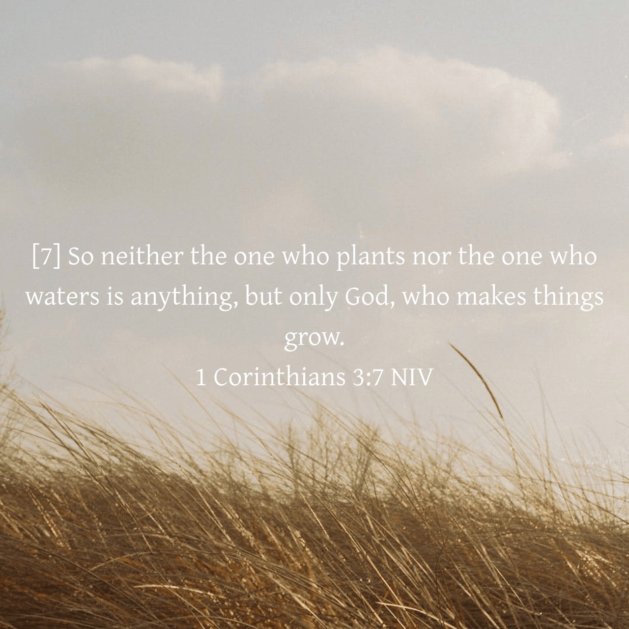 @Catholic Verses and Prayers