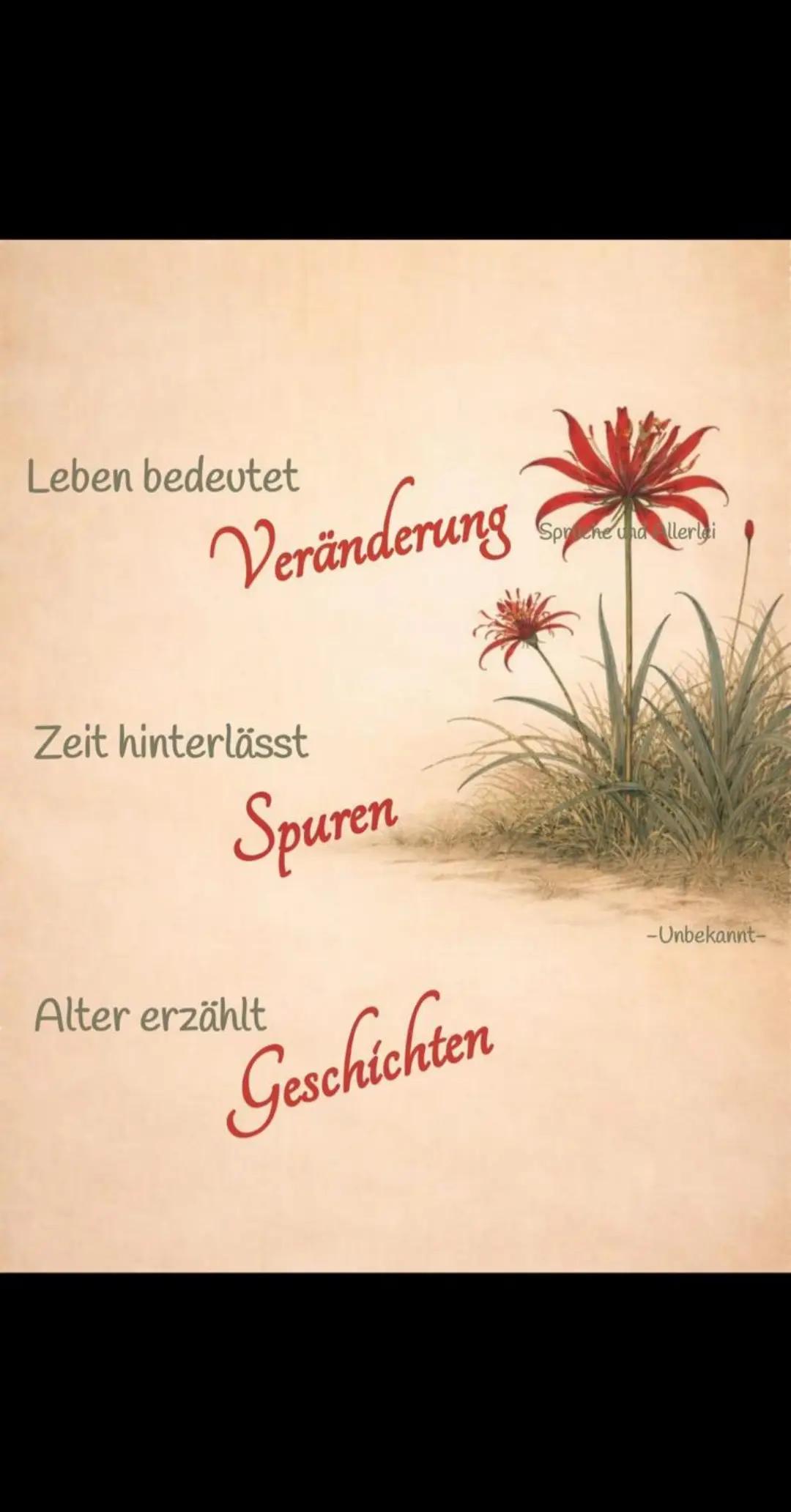 @Manfred Rossow