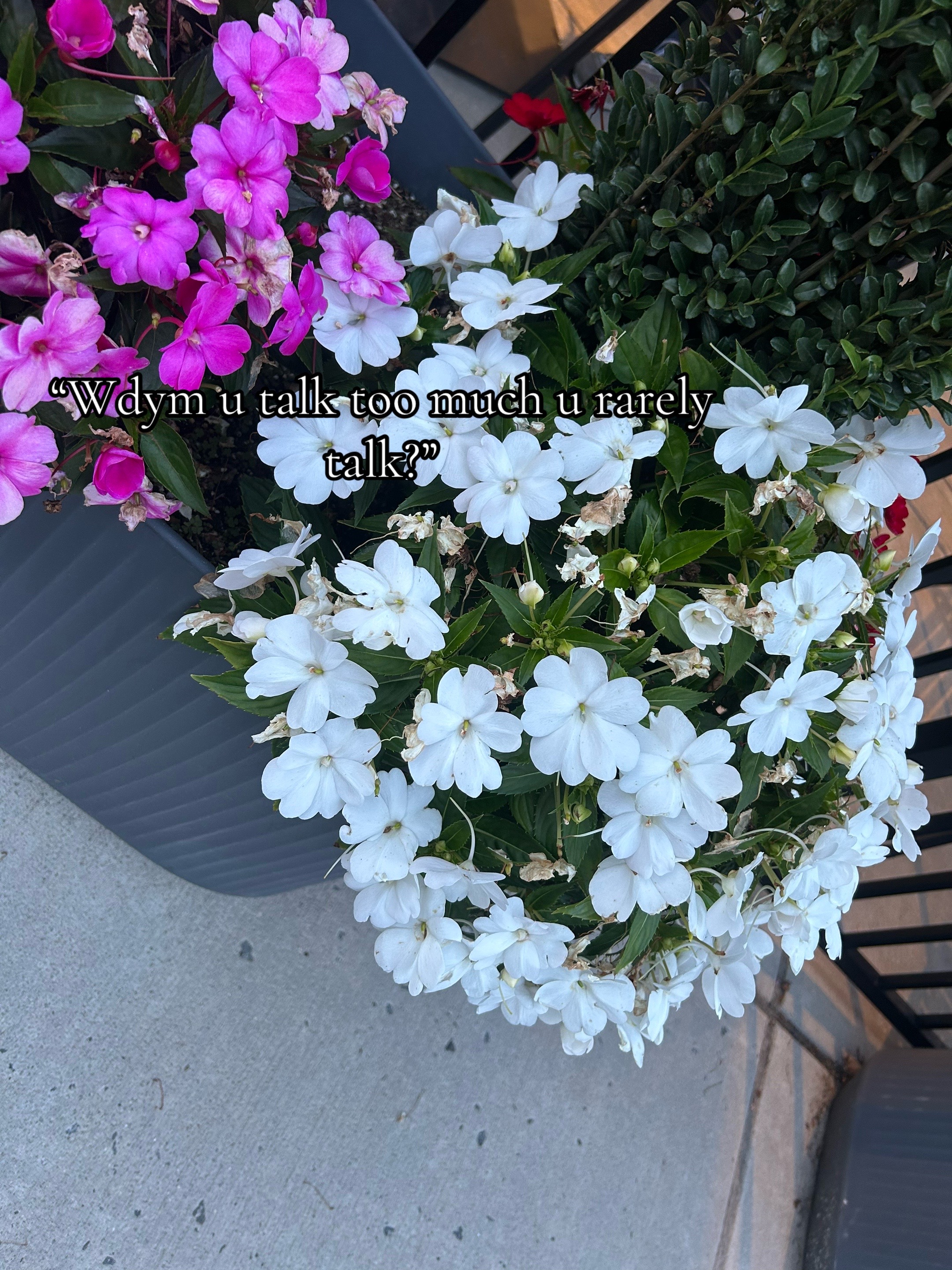 @🤫
