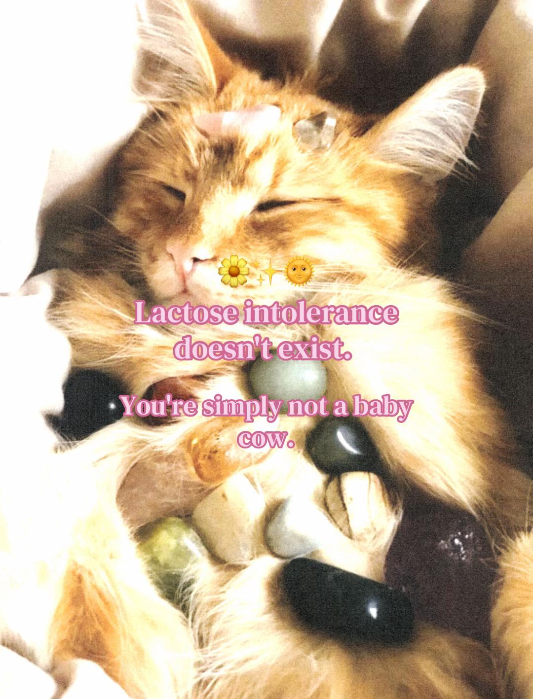 @₊˚⊹♡🧘🏼&zwj;♀️🌀🌞 ˚｡⋆౨ৎ
