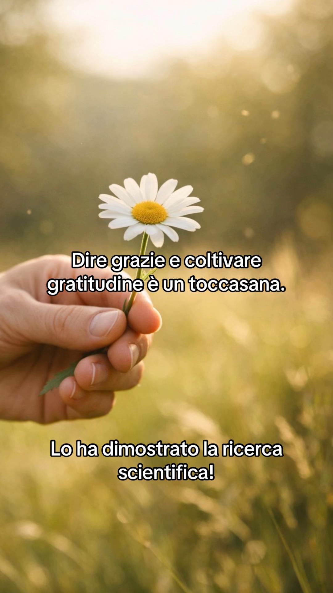 @Silvia Masci