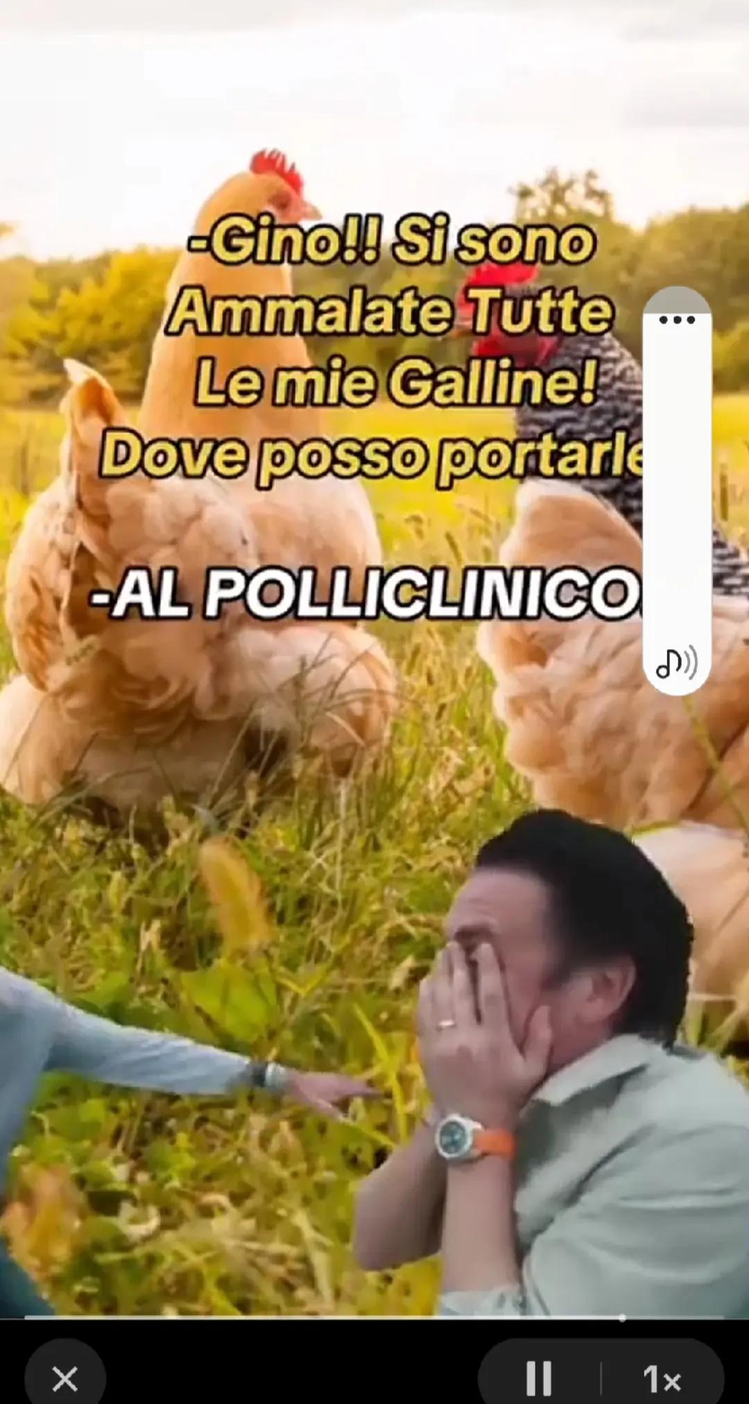@Francesca Saraceno🌹
