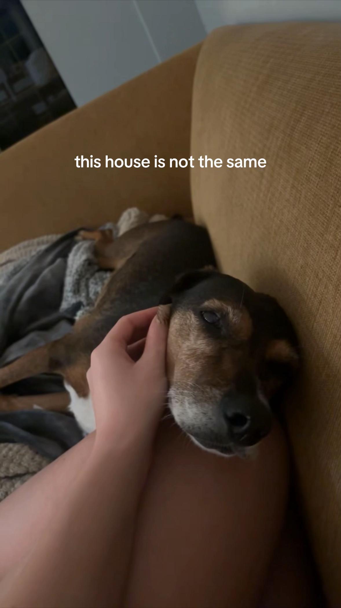 @xobunnyxx