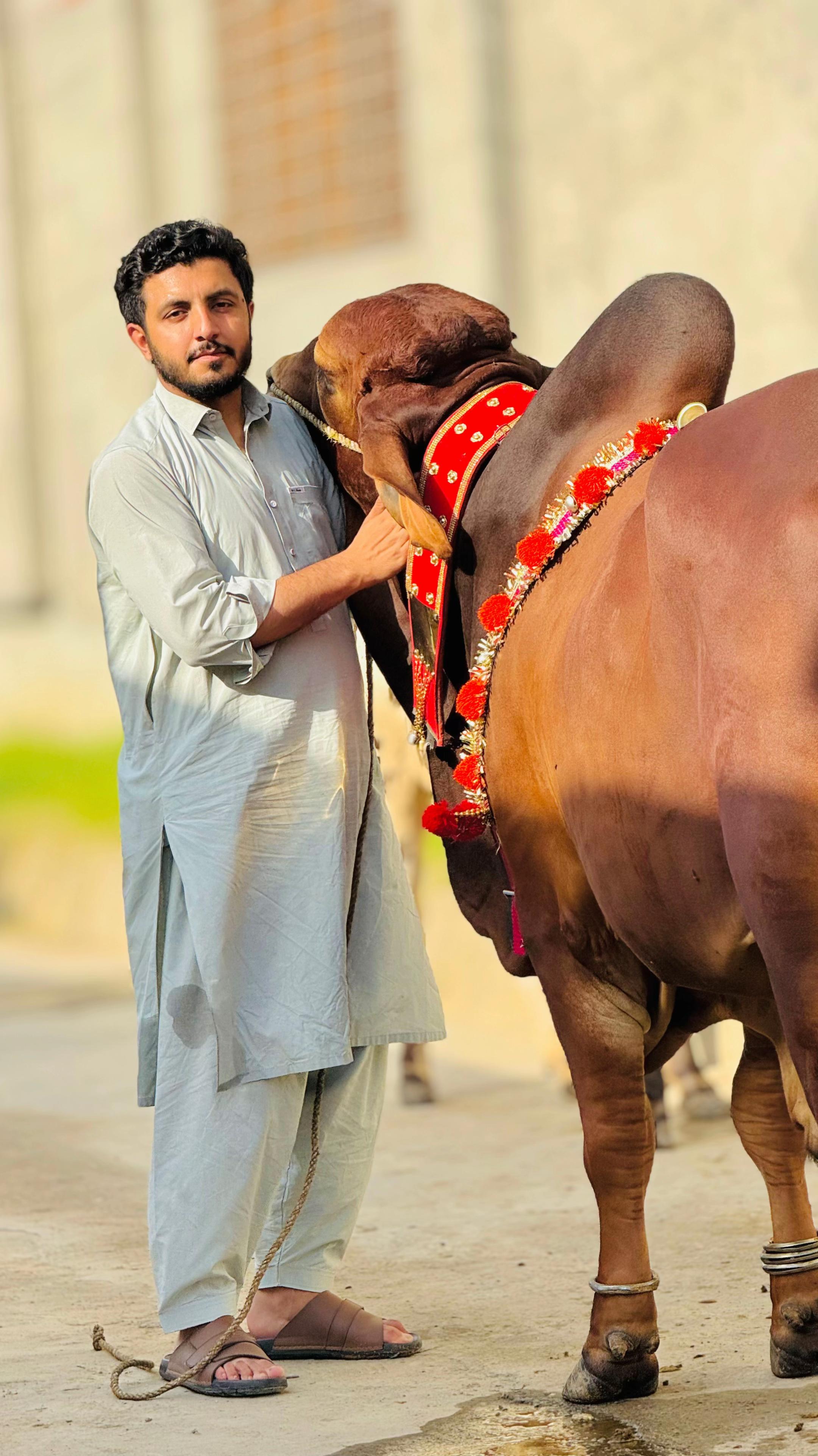 @HK_MOHMAND ♛