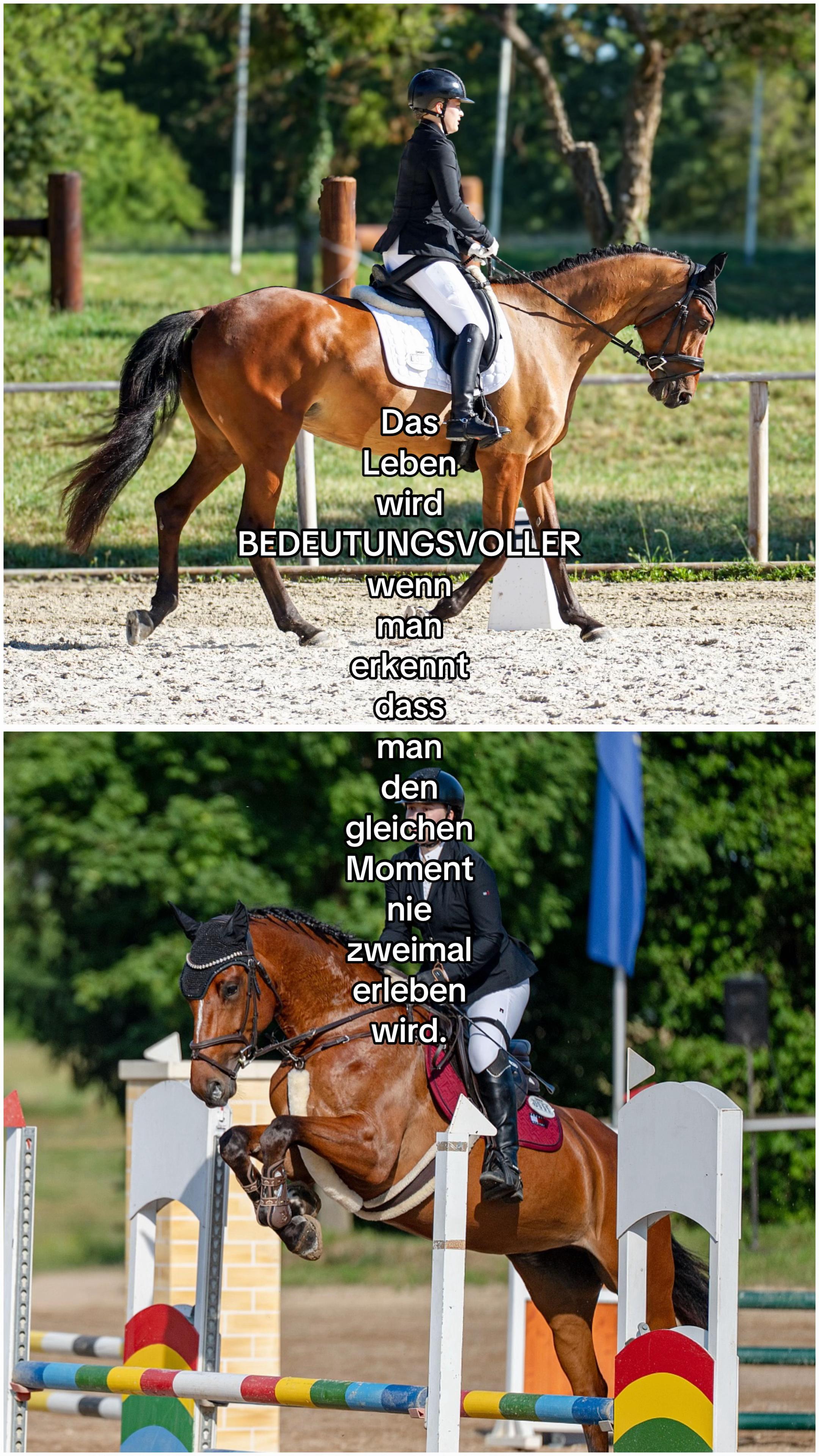 @Sarah Philine | Para-Reitsport
