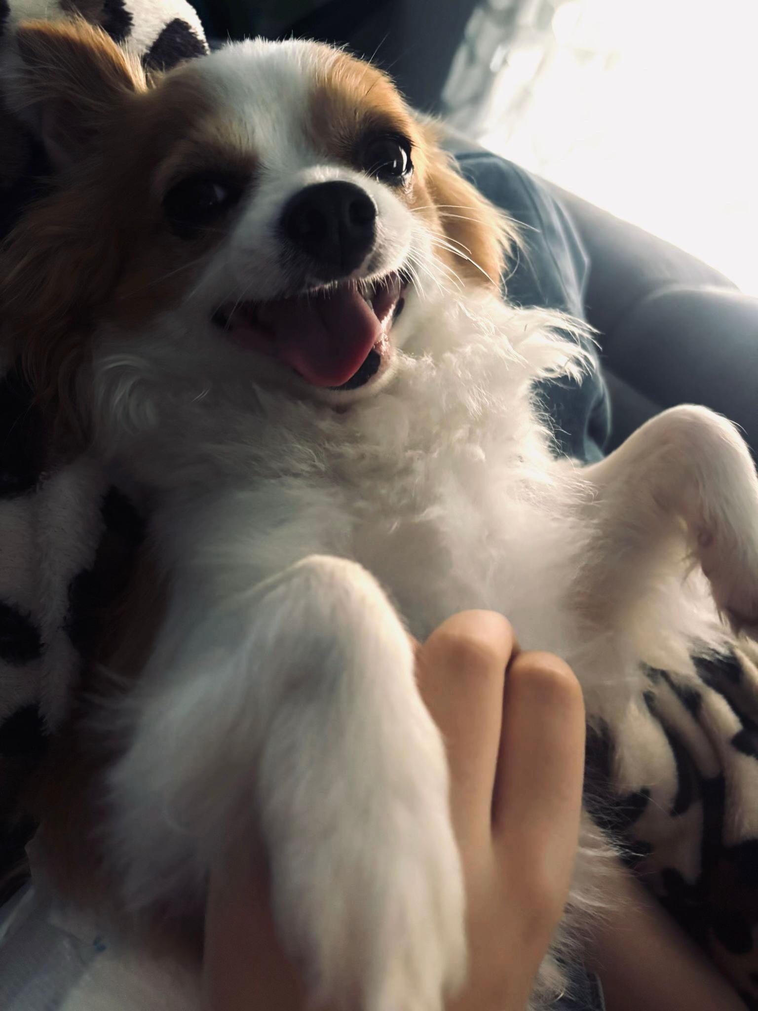 @Michela 🐕
