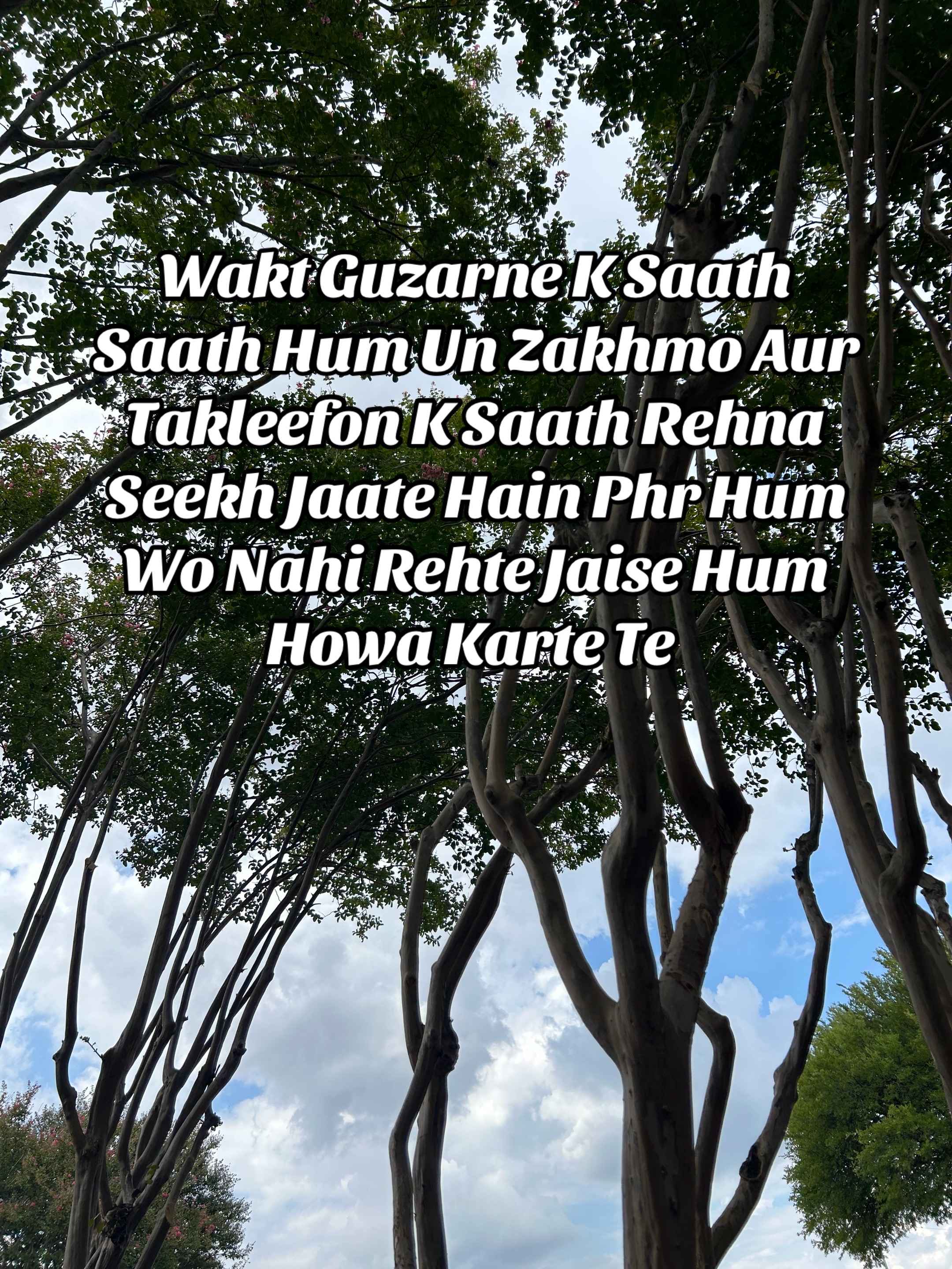 @ZaraHayat020104