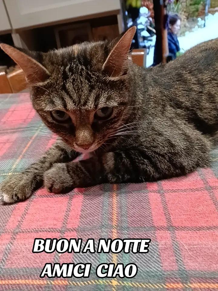 @Francesca Sciurti