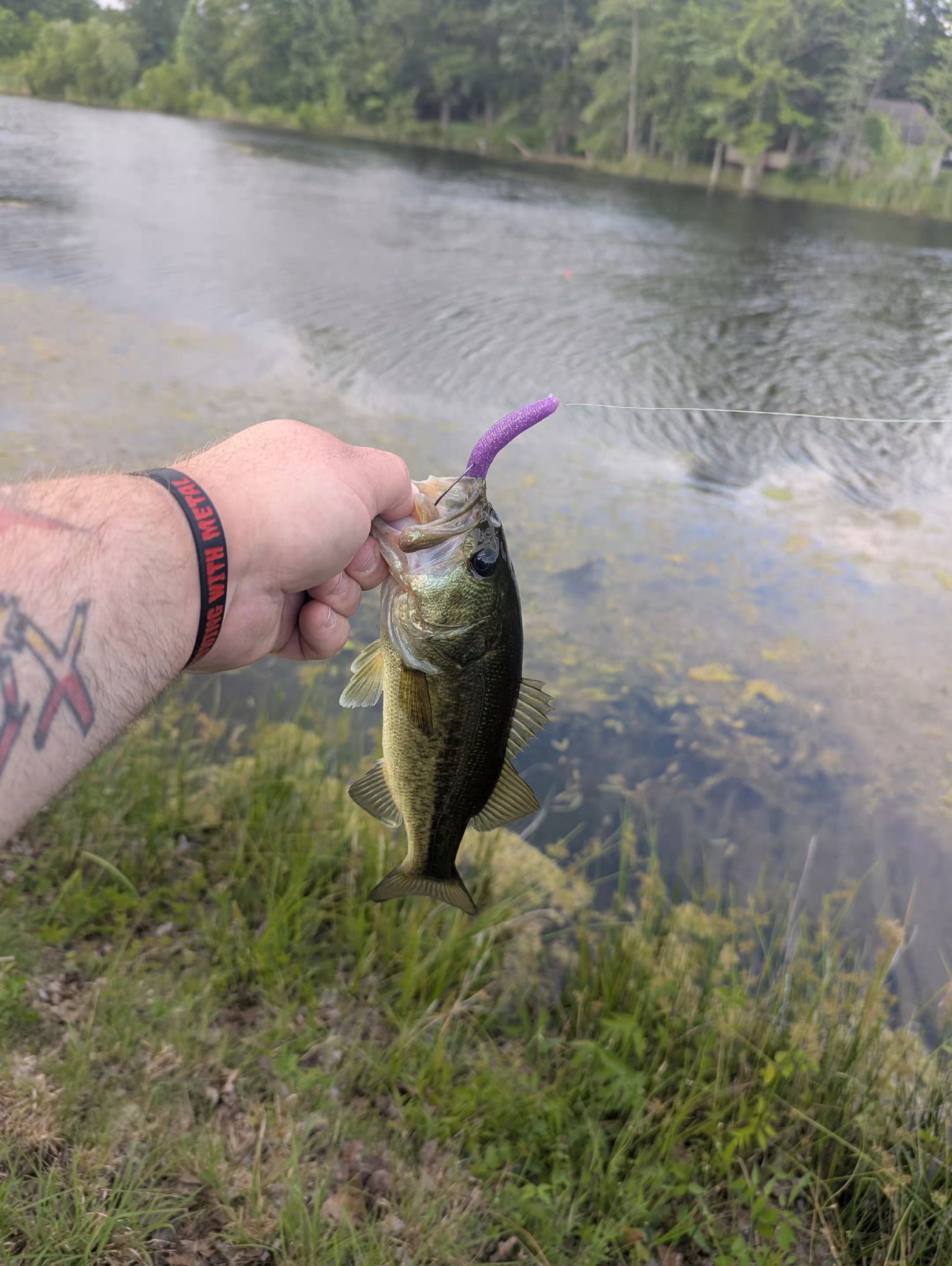 @Fishing with Metal