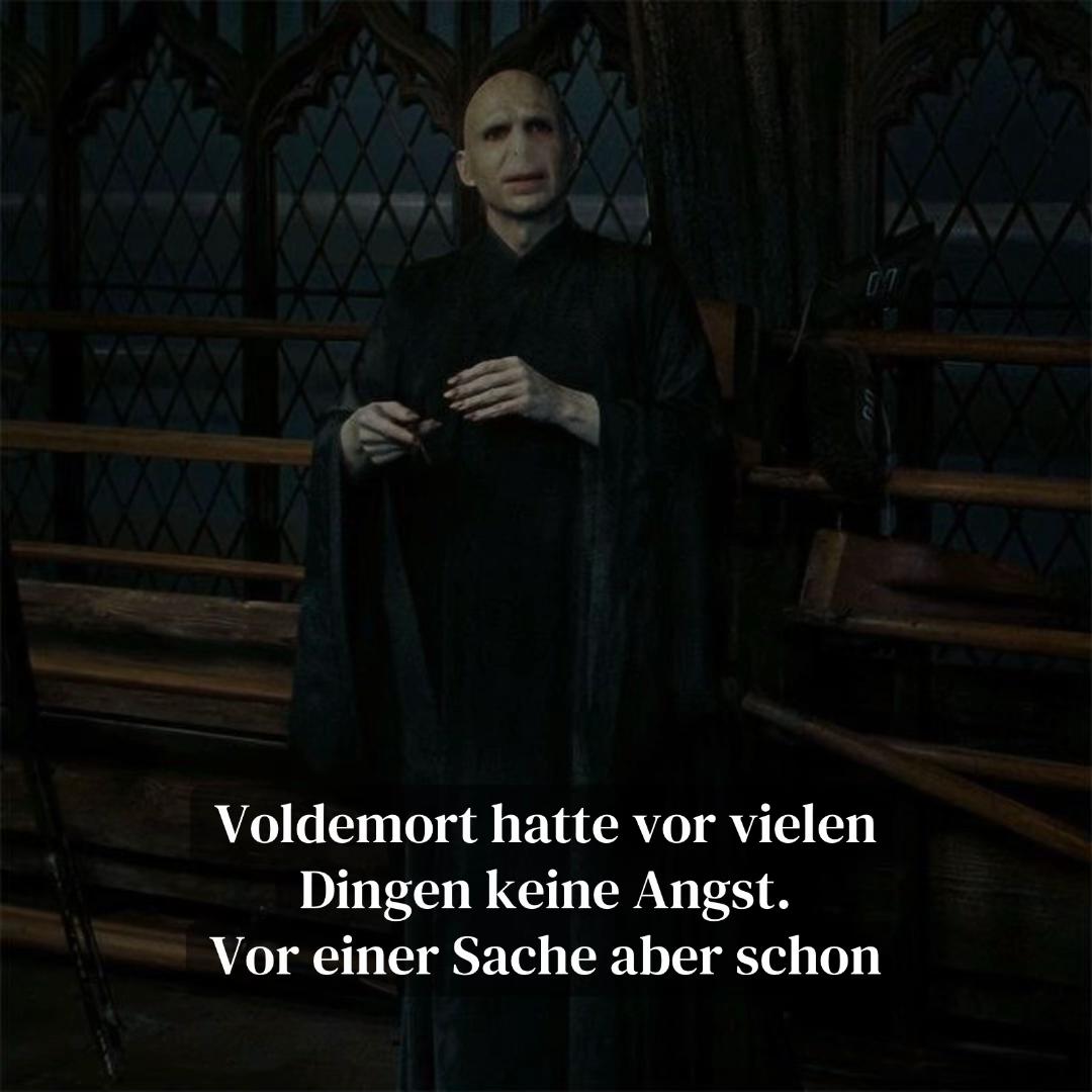 @Muggelgefl&uuml;ster