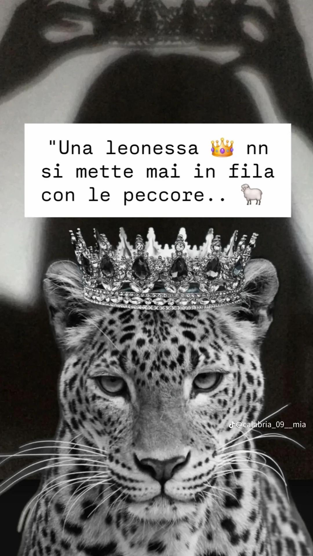 @Alessandra caradonna