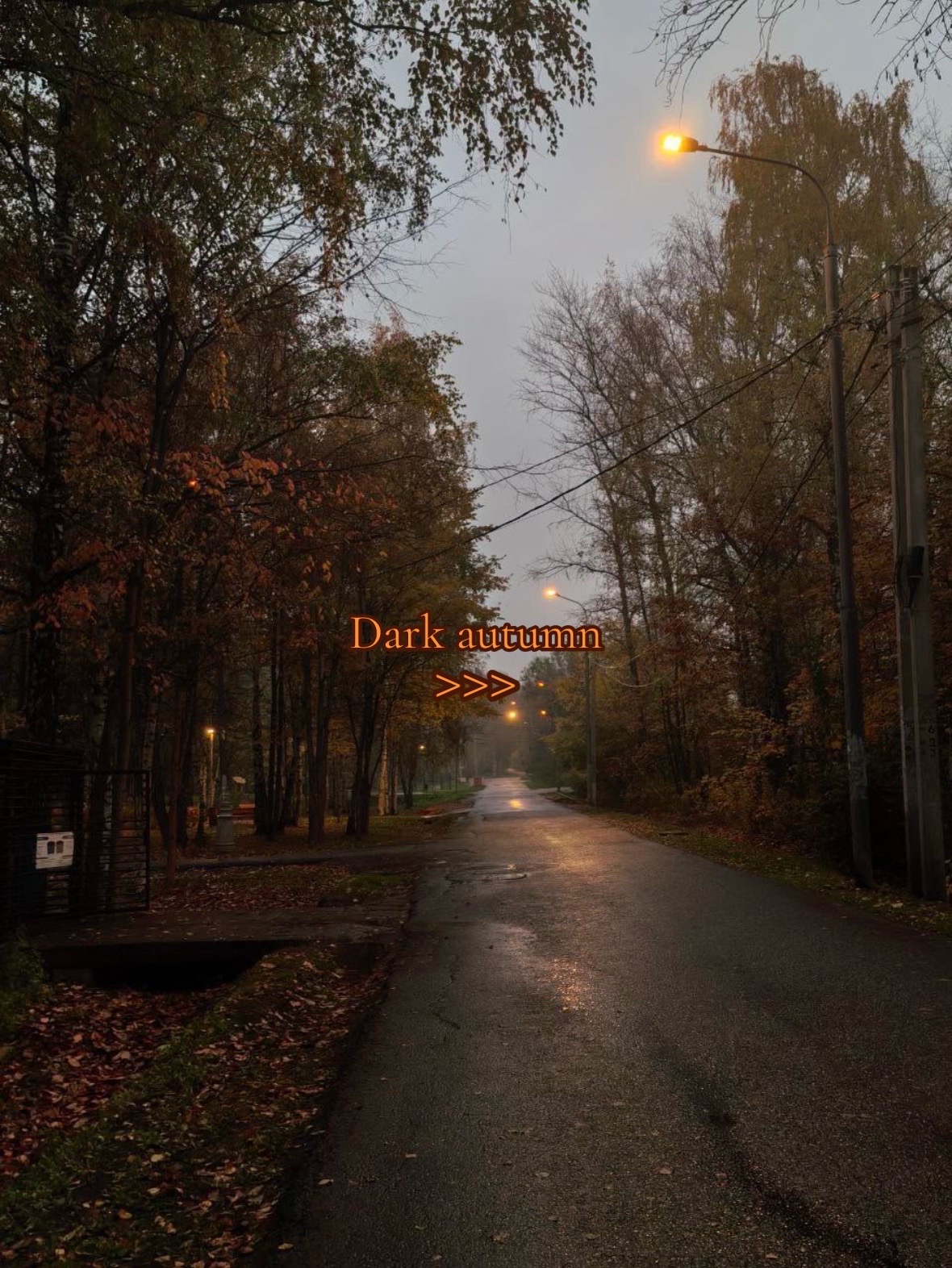 @🍂AUTUMNLOVER🍂