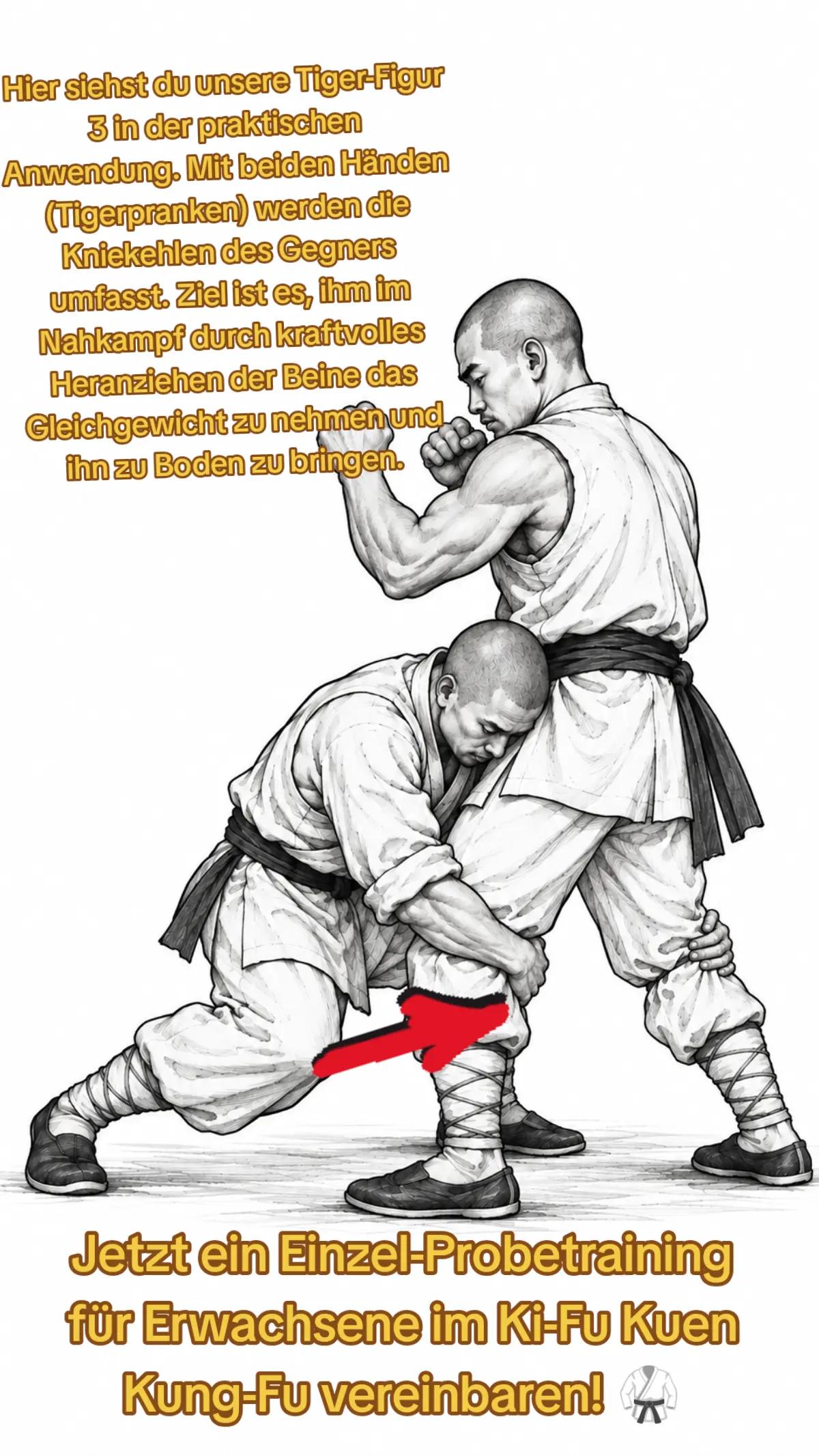 @Si-Fu von Ki-Fu®