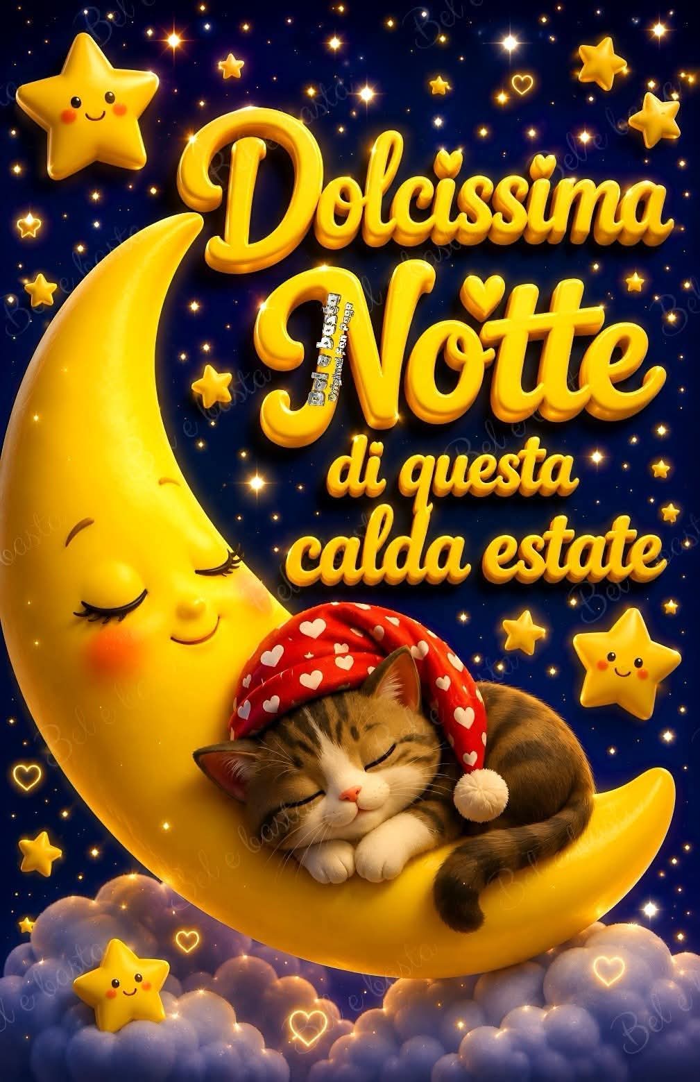 @liaconte673