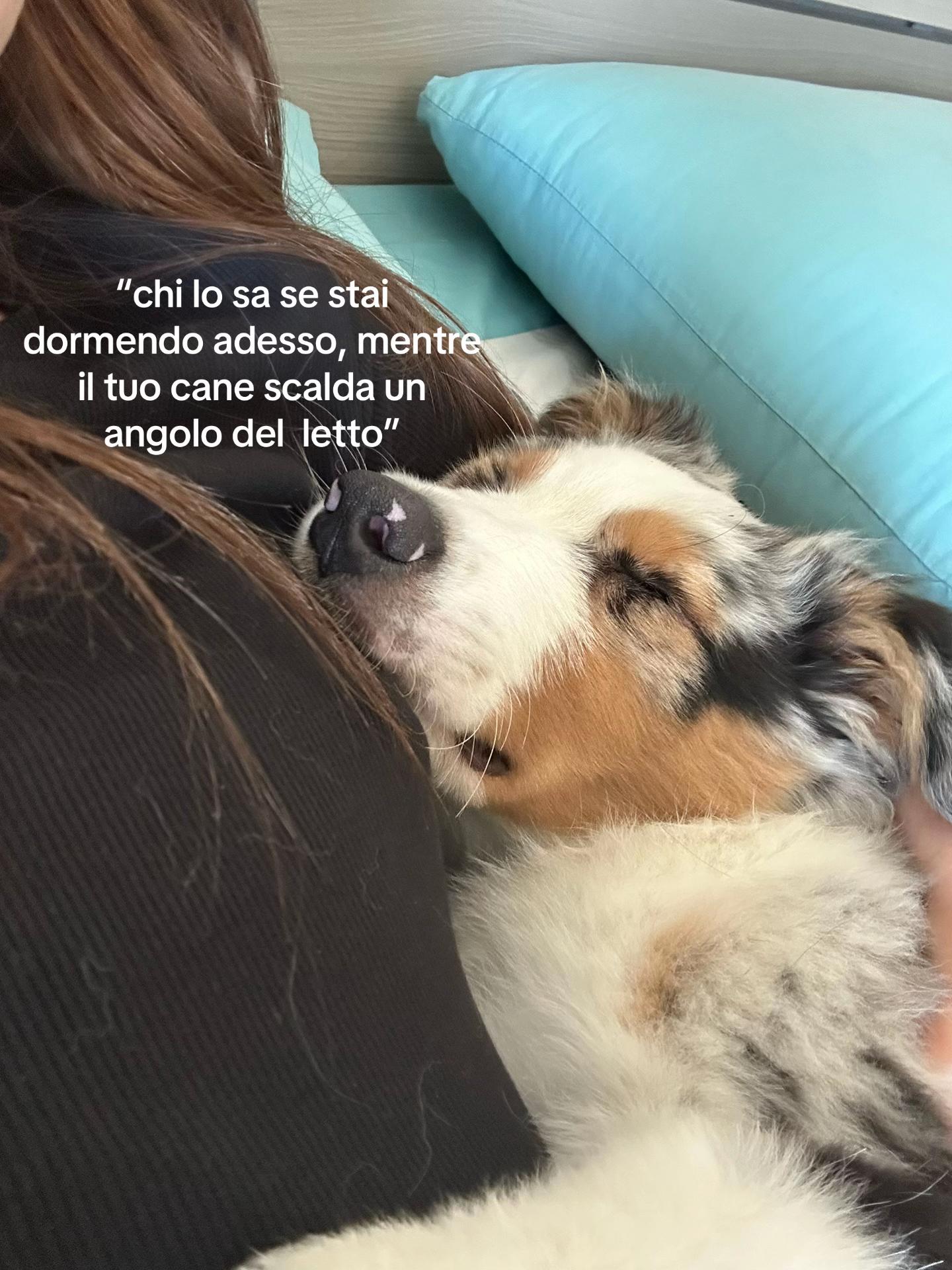 @eleonora
