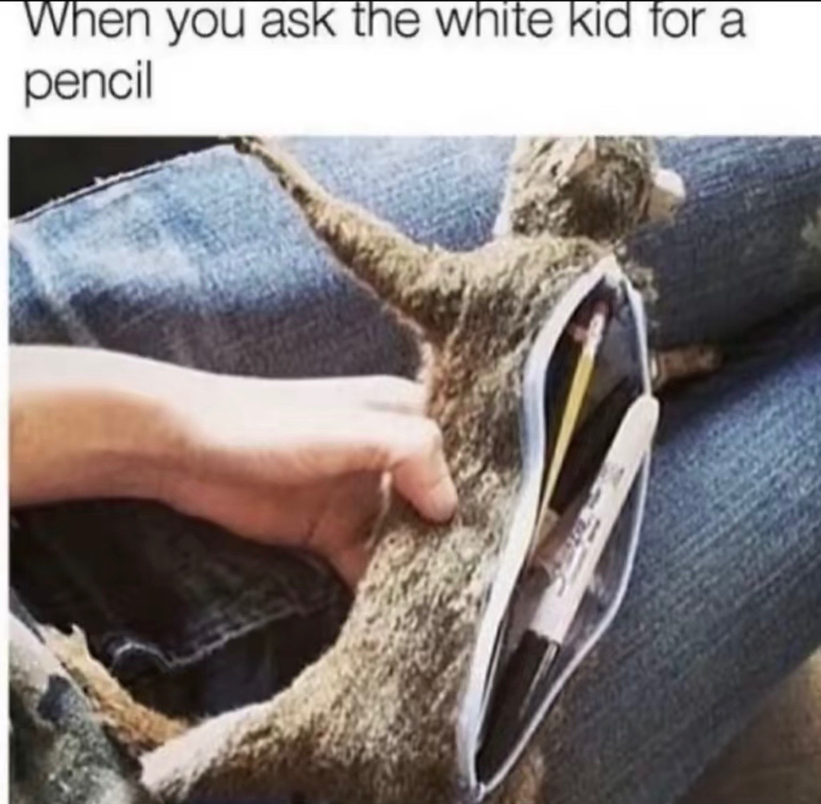 @trapo1316