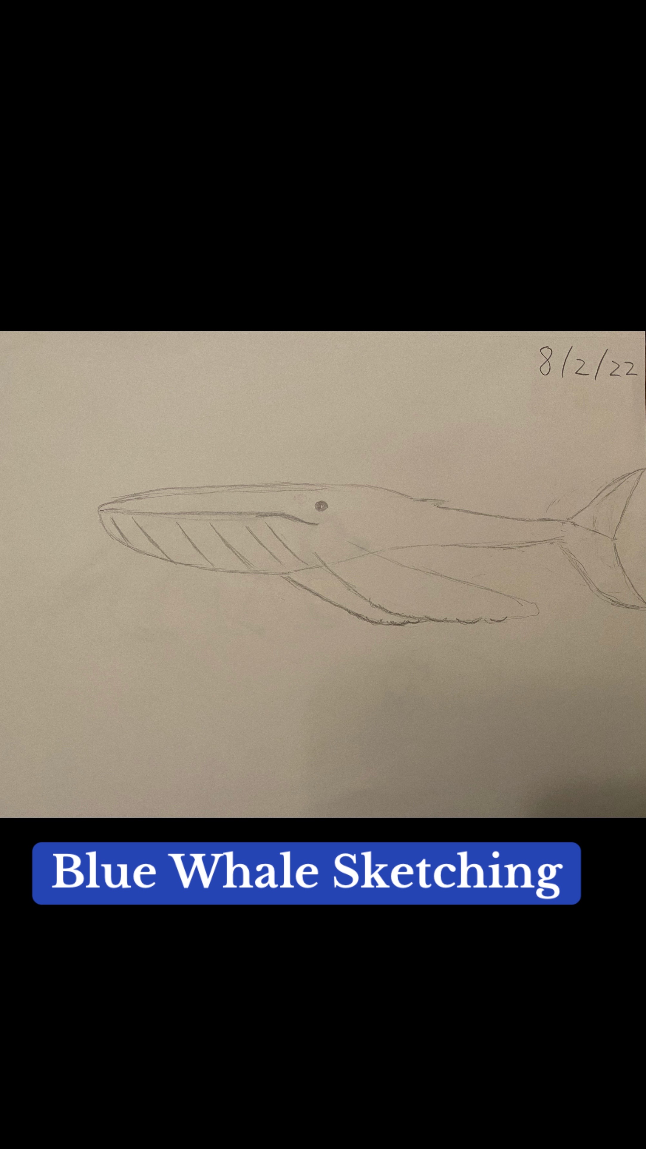 @dougsanimatinanddrawings