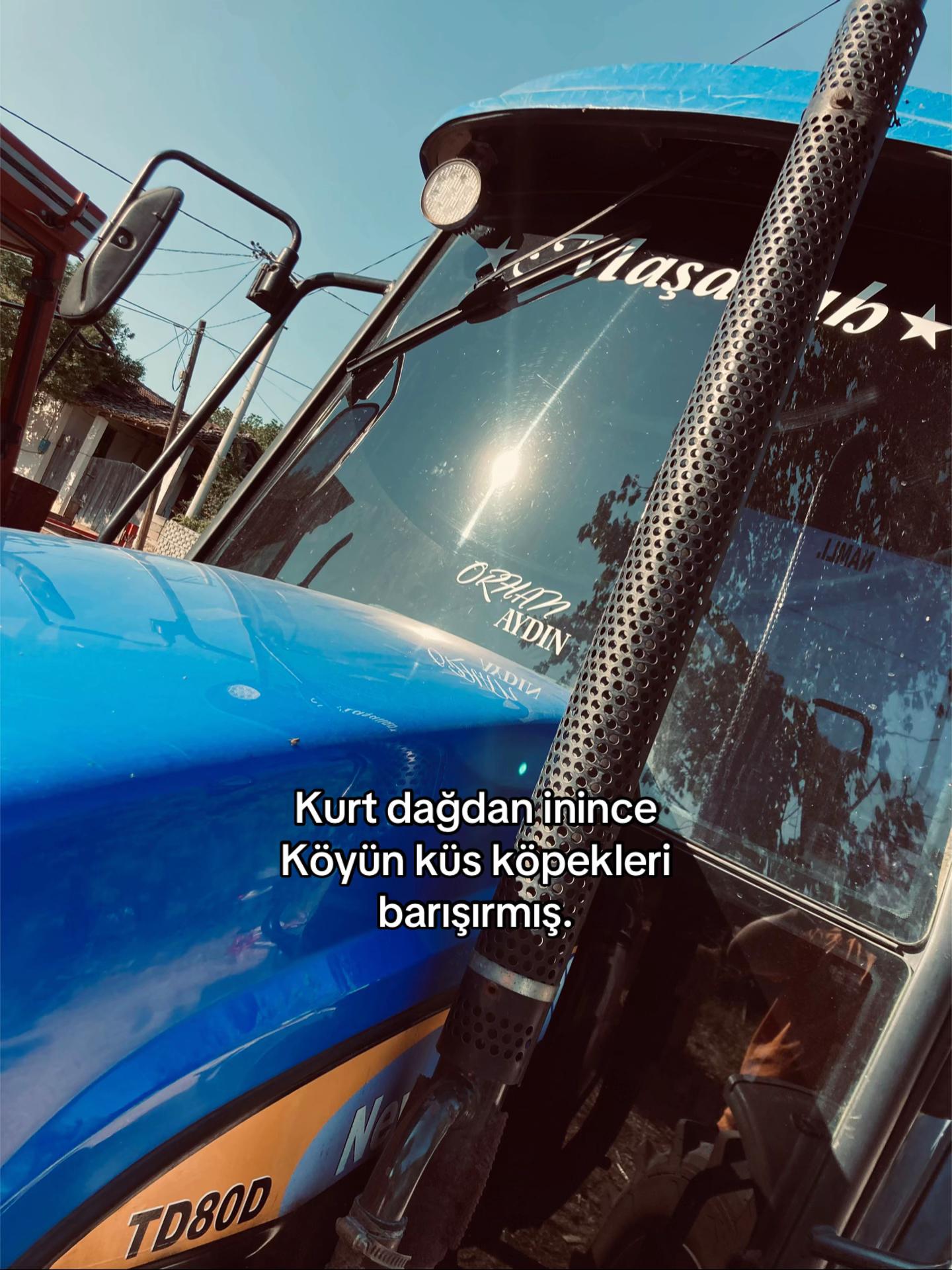 @aydın Orhan