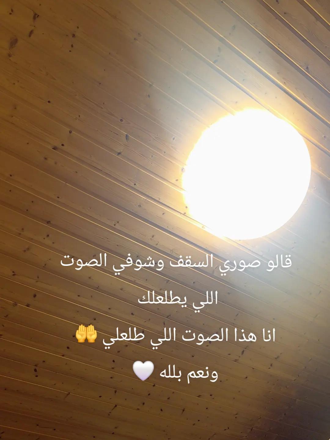 @🌸rasha habib🌸