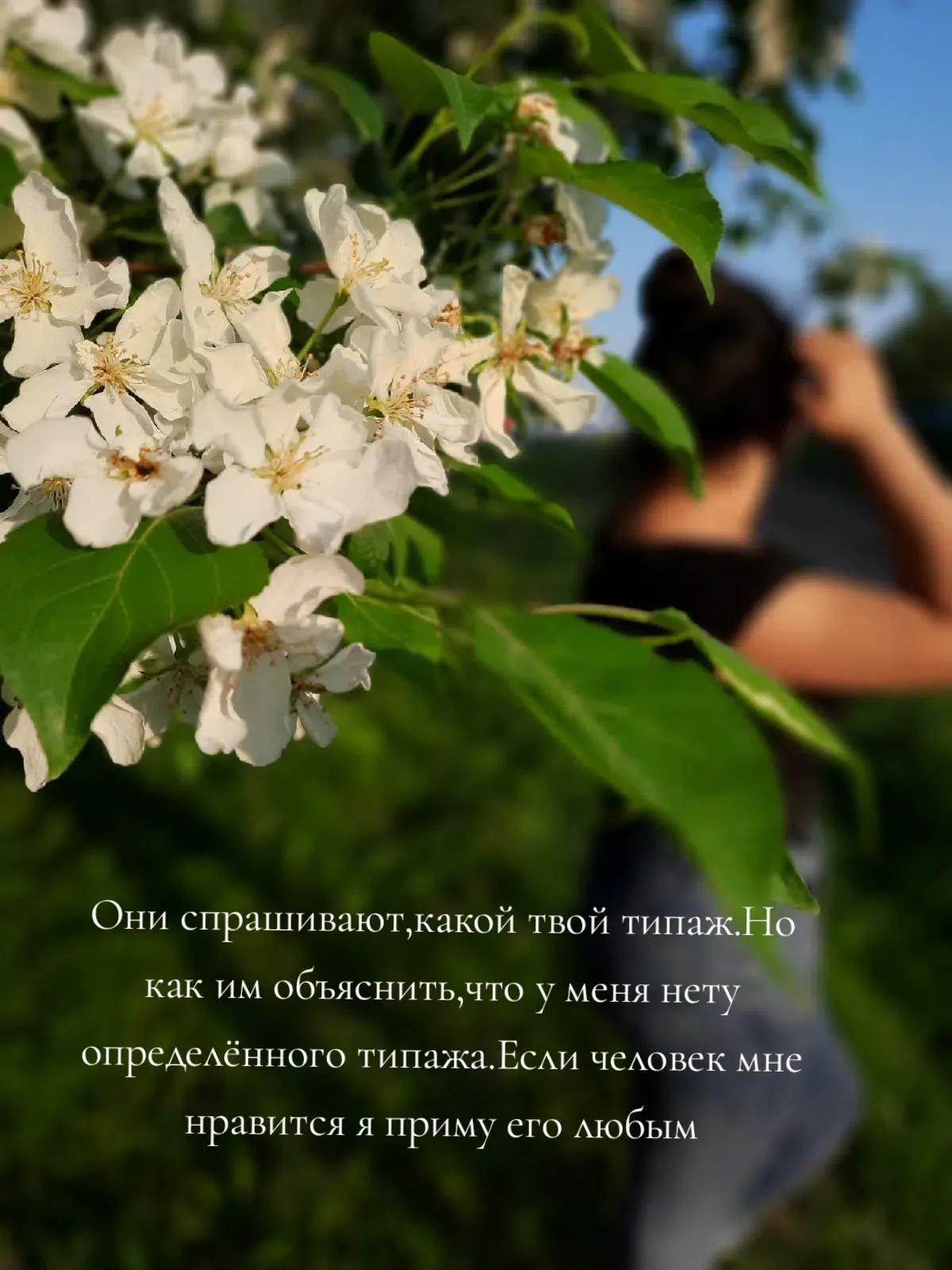 @твоя душа❤️